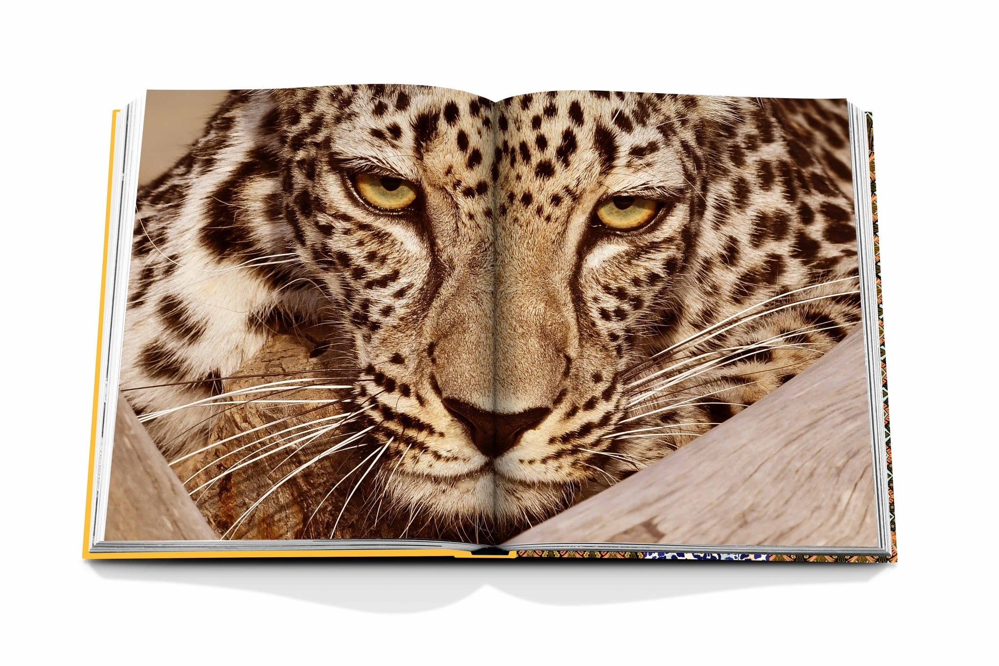 Assouline Arabian Leopard