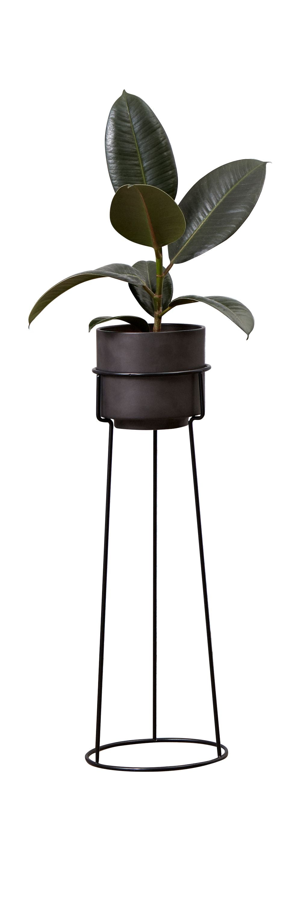 Andersen Furniture En växtblommor, h 48 cm