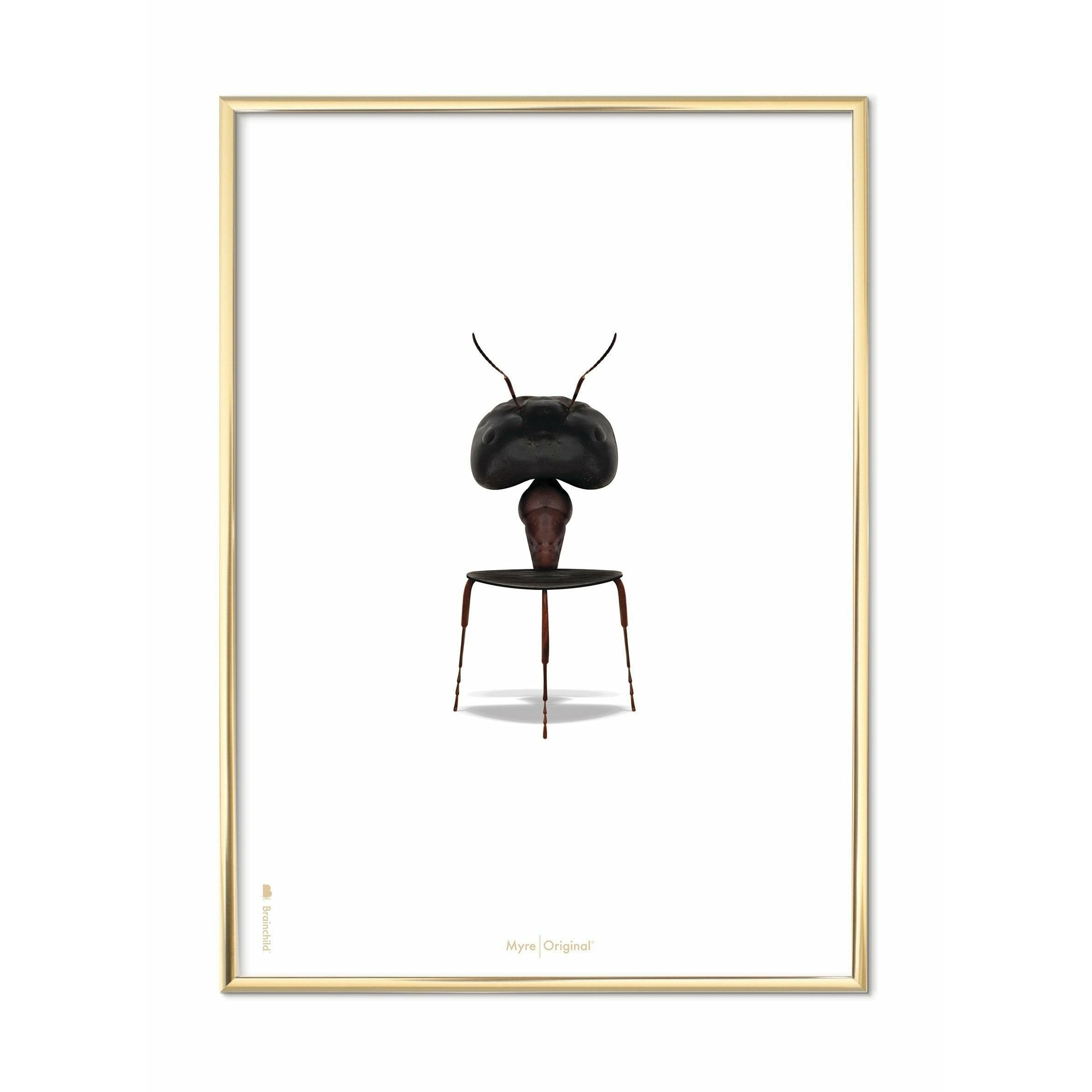 Brainchild Ant Classic Poster, mässingsfärgad ram 30x40 cm, vit bakgrund
