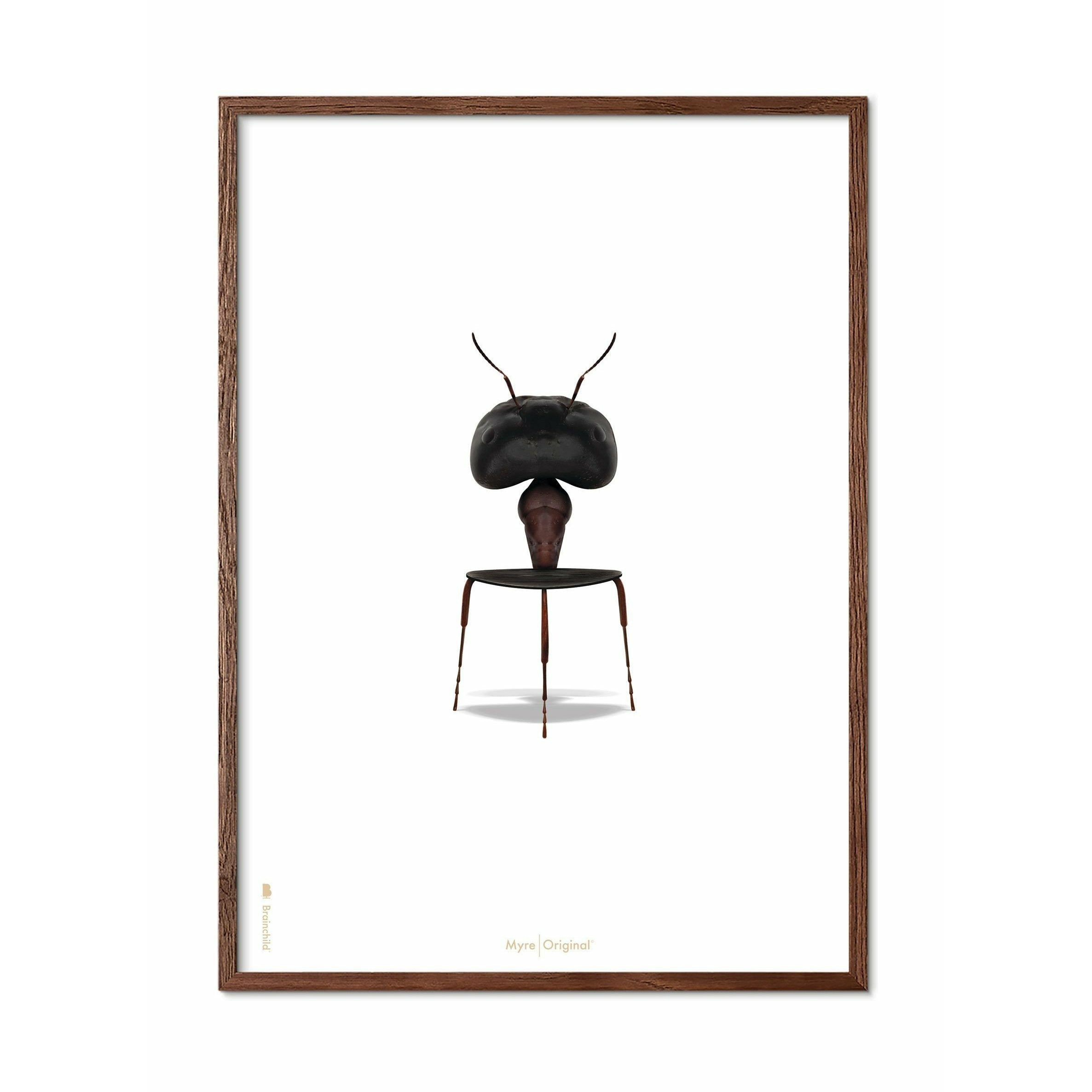 Brainchild Ant Classic Affisch, ram i mörkt trä 50x70 cm, vit bakgrund
