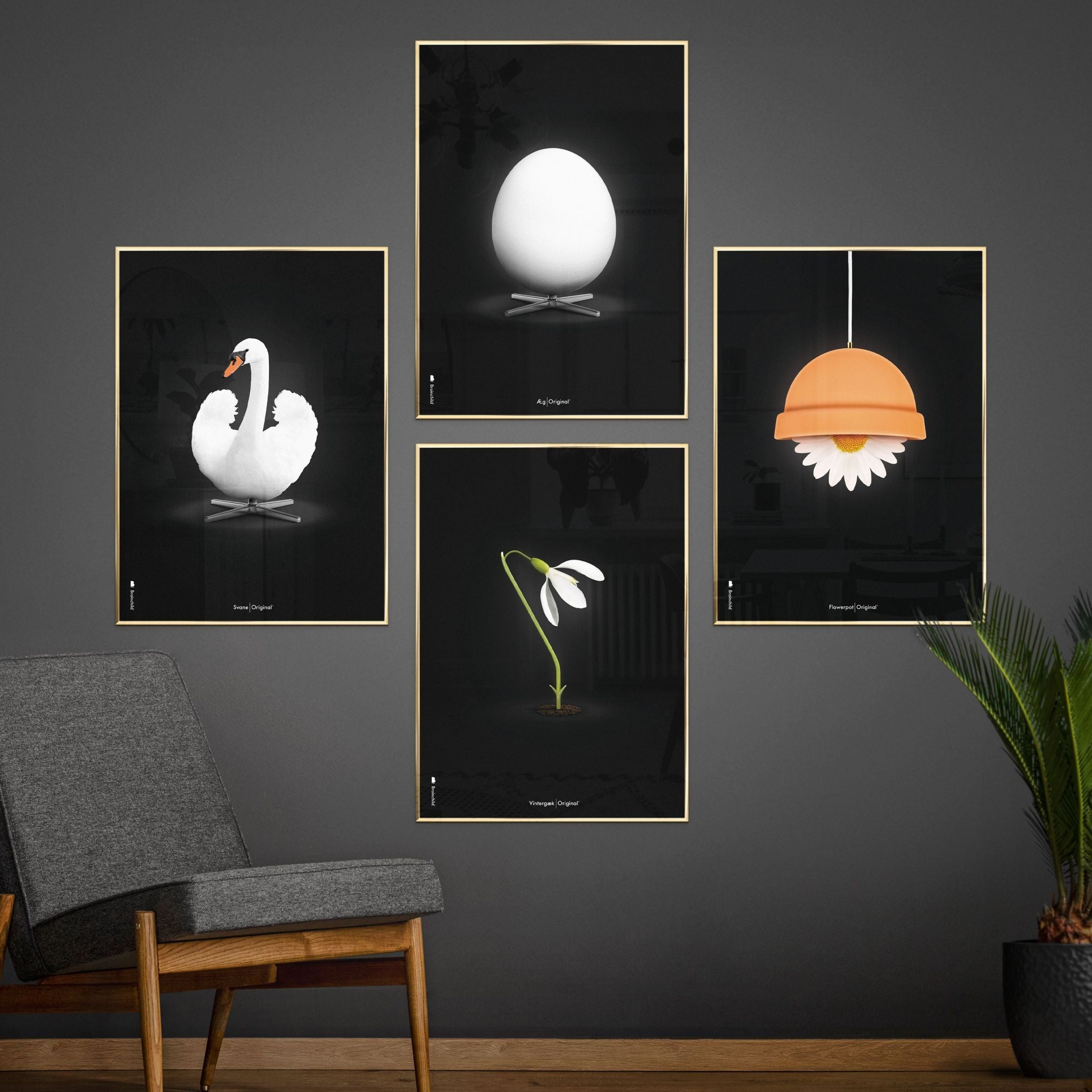 Brainchild Flowerpot Classic -affisch, ram i lätt trä 70x100 cm, svart bakgrund