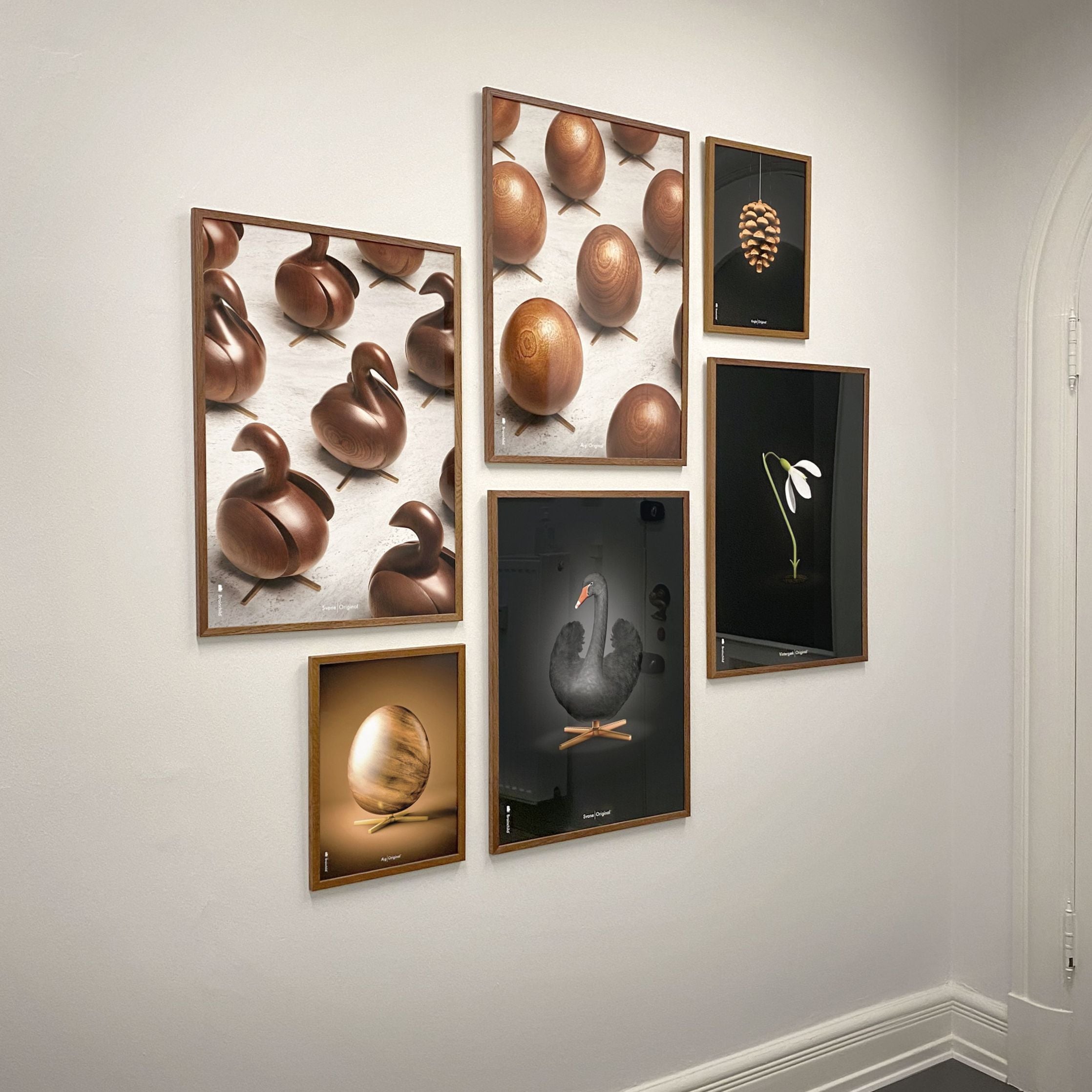 Brainchild Äggparadaffisch, ram i svart -målat trä, 50x70 cm