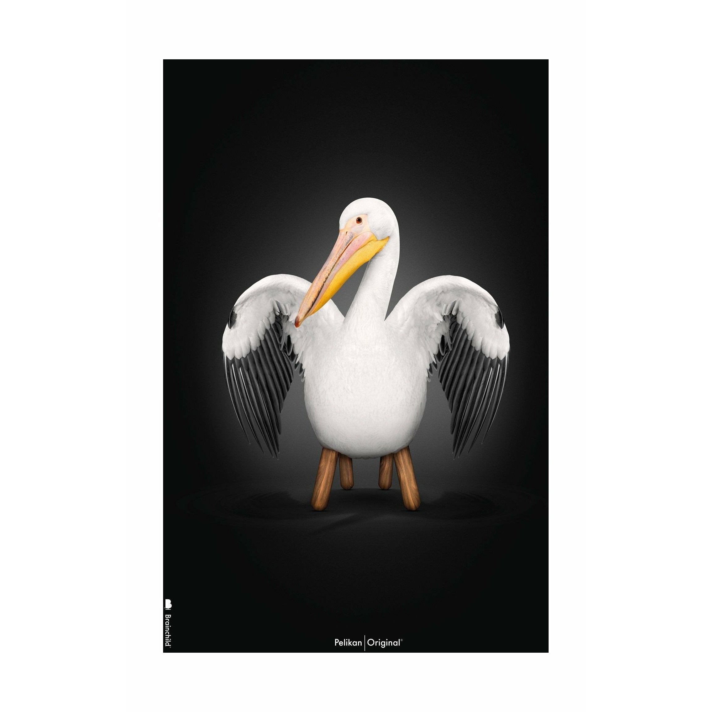 Brainchild Pelican Classic Poster No Frame 30x40 CM, svart bakgrund