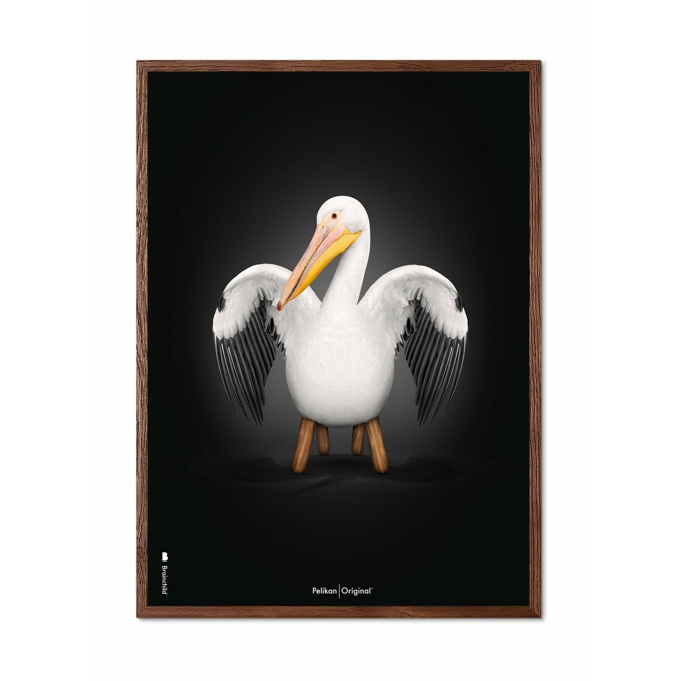 Brainchild Pelican Classic -affisch, ram i mörkt trä 50x70 cm, svart bakgrund