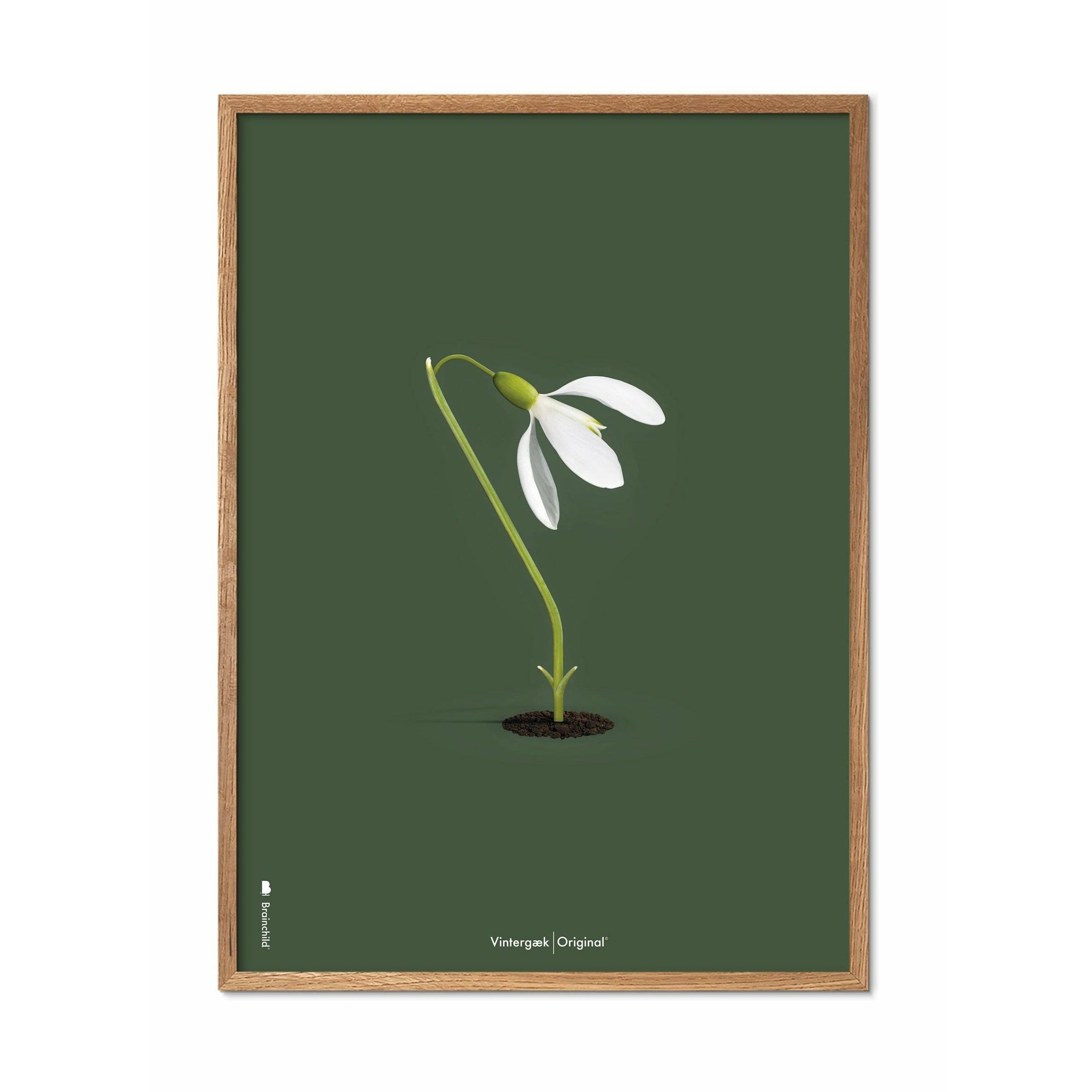 Brainchild Vinter bra klassisk affisch, ram i lätt trä 30x40 cm, grön bakgrund