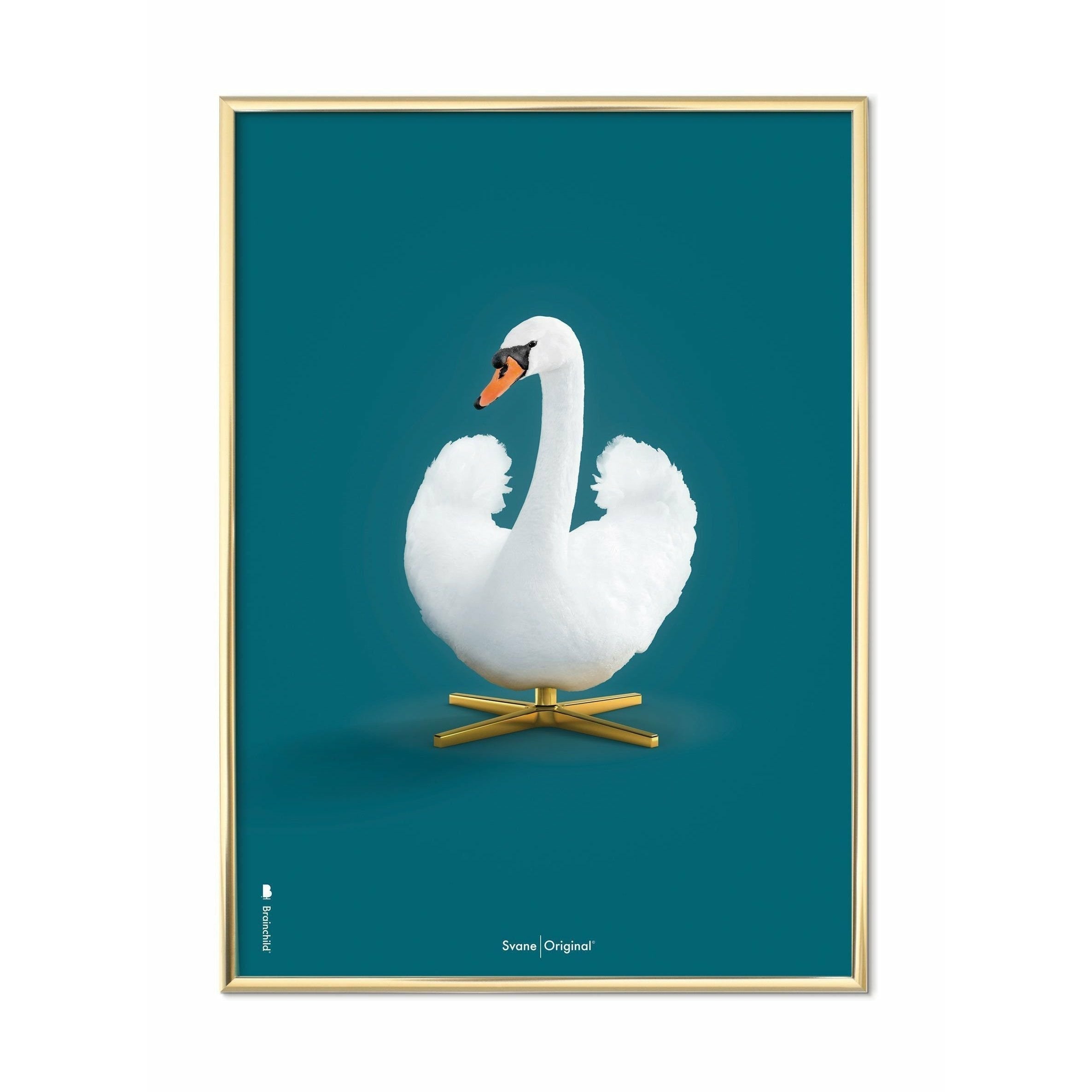 Brainchild Svane Klassisk Plakat, Messingfarvet Ramme 50X70 Cm, Petroleumsblå Baggrund