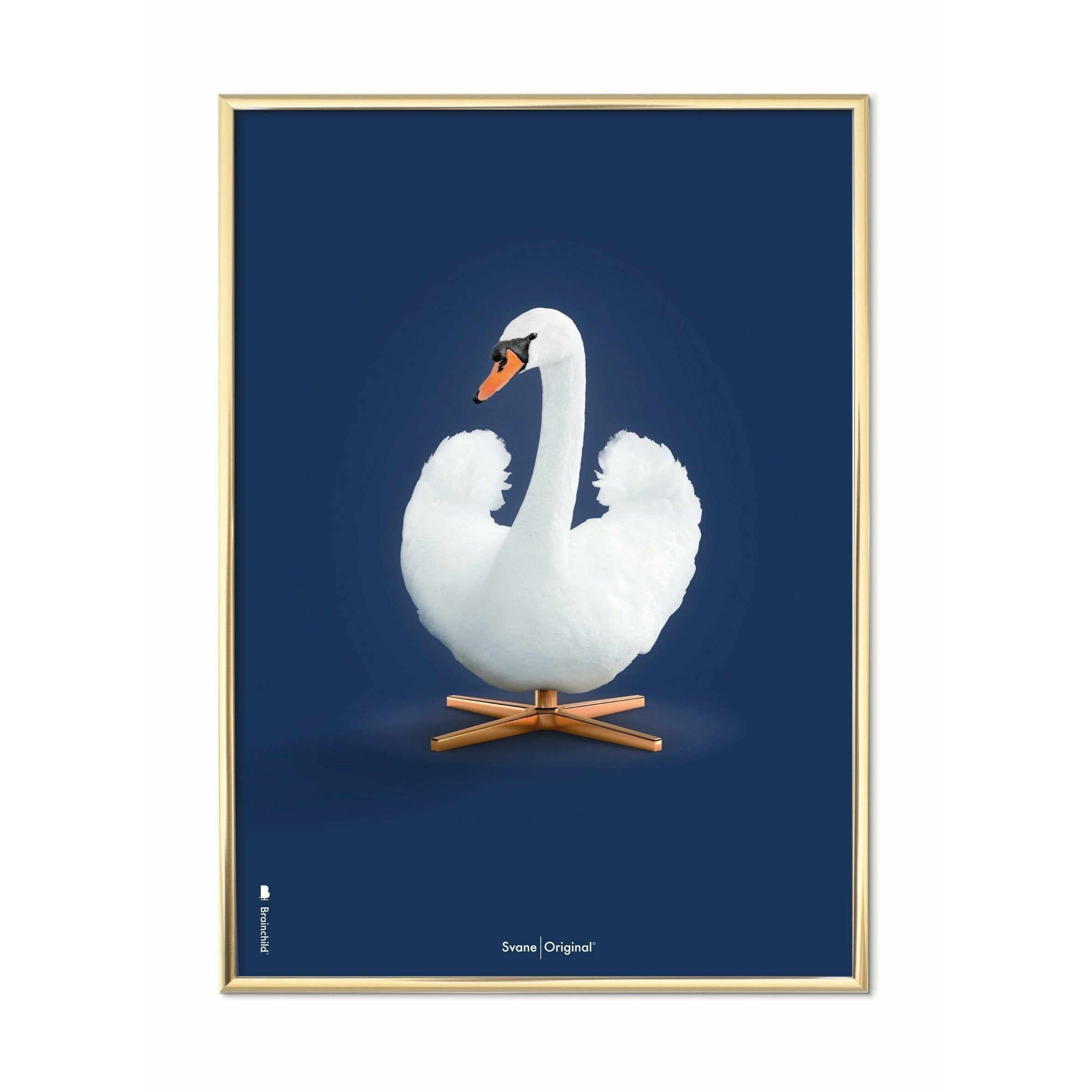 Brainchild Svane Klassisk Plakat, Messingfarvet Ramme 70X100 Cm, Mørkeblå Baggrund