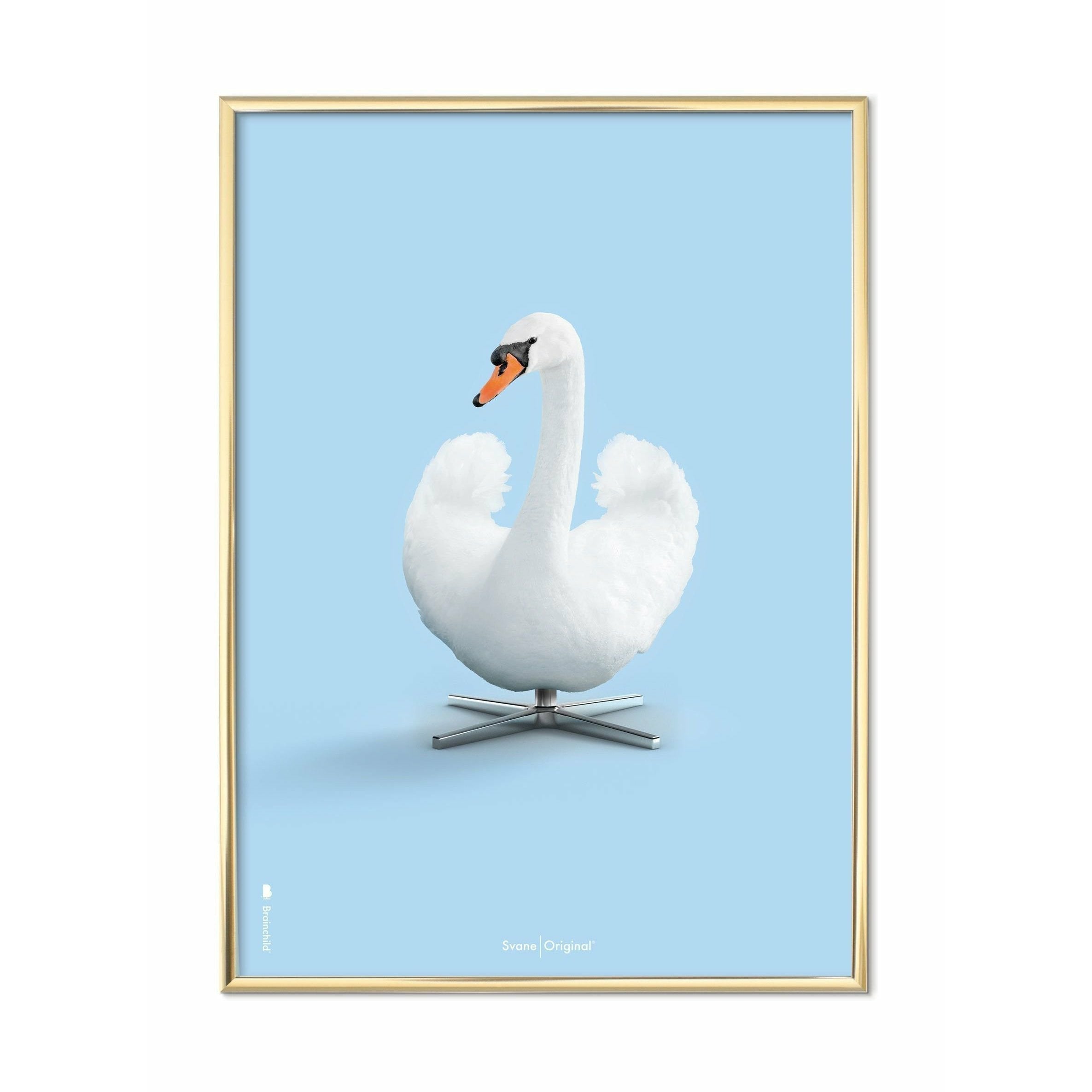 Brainchild Swan Classic Poster, mässingsfärgad ram 70x100 cm, ljusblå bakgrund
