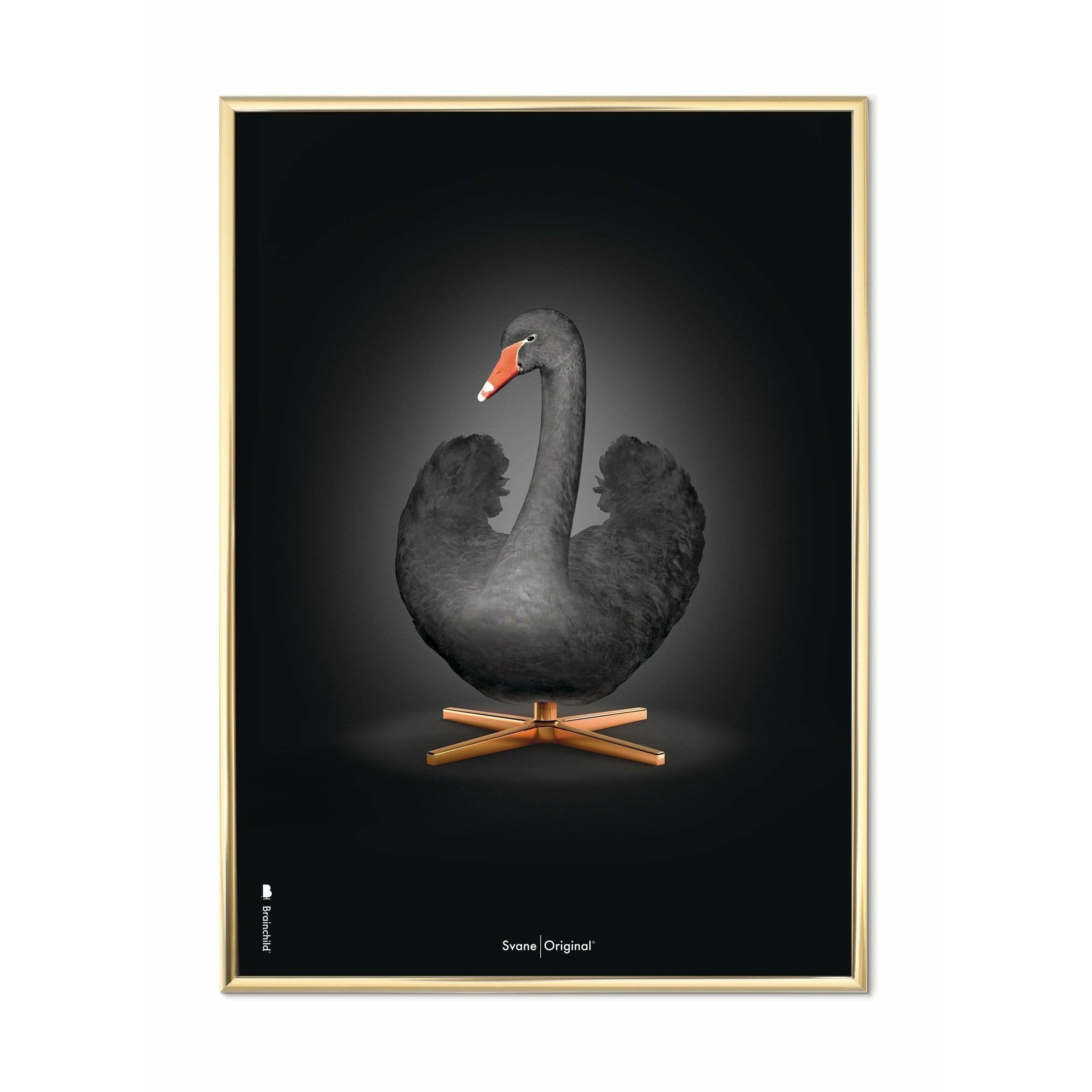 Brainchild Svane Klassisk Plakat, Messingfarvet Ramme 70X100 Cm, Sort/Sort Baggrund
