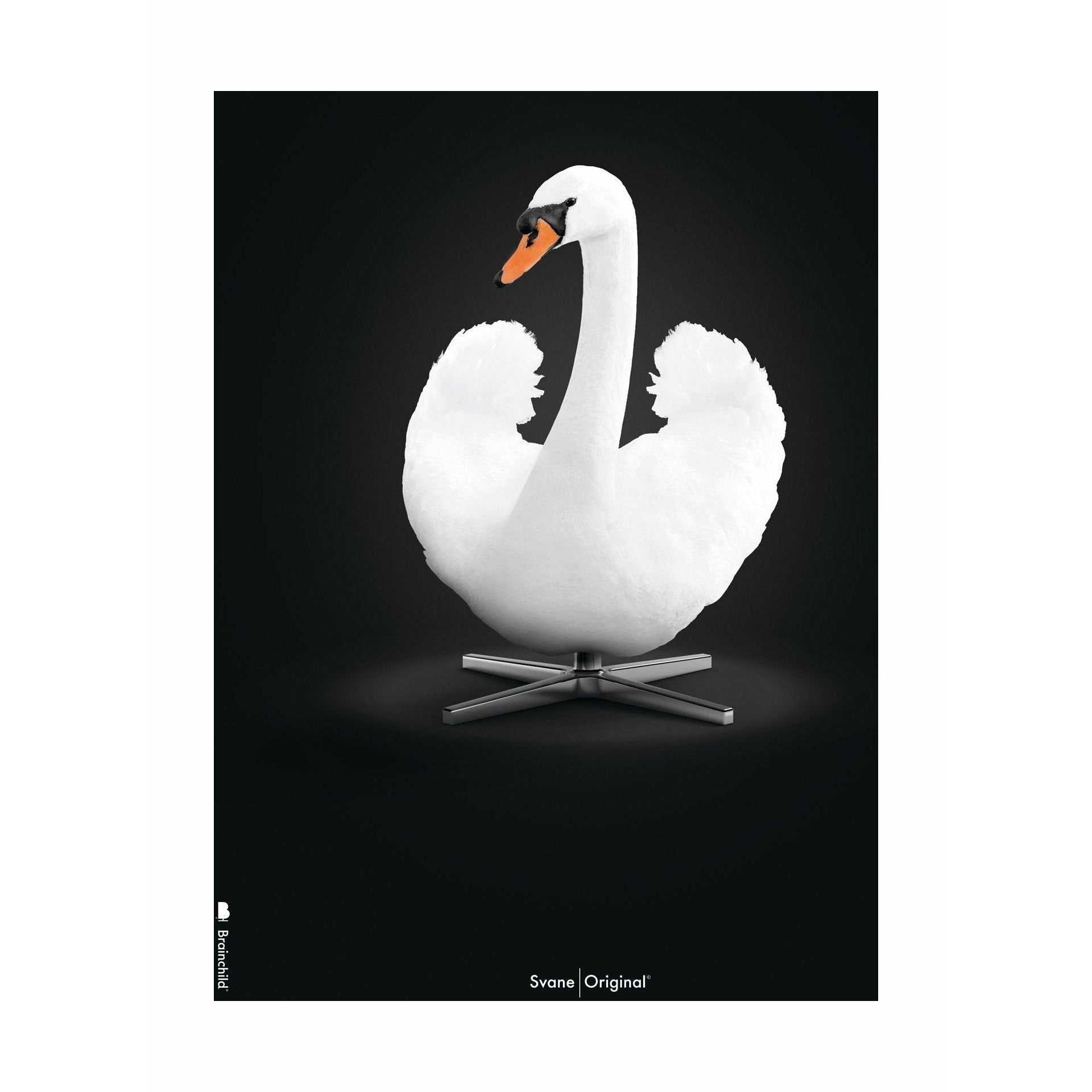 Brainchild Swan Classic Poster No Frame 70x100 cm, vit/svart bakgrund