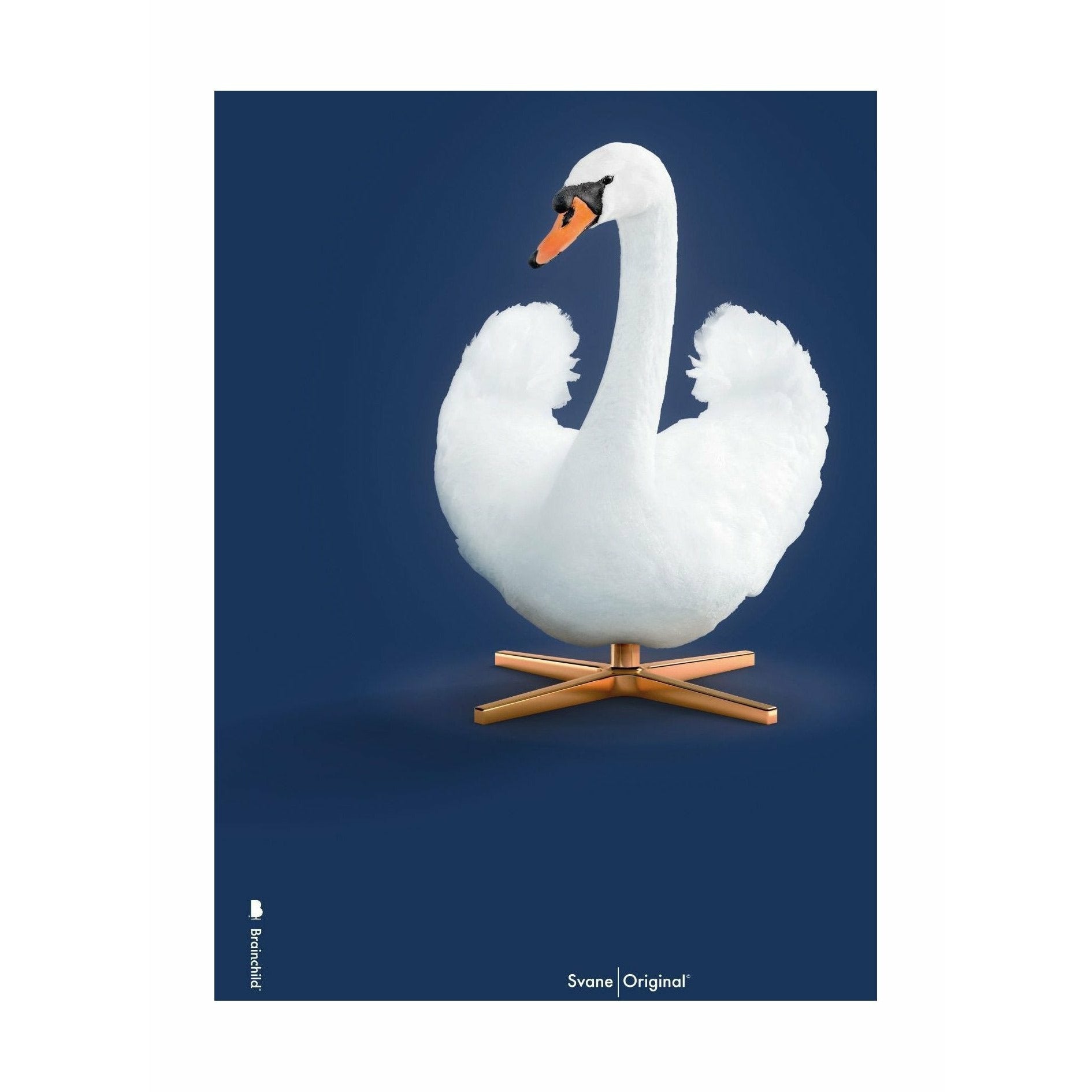 Brainchild Swan Classic Poster No Frame A5, mörkblå bakgrund