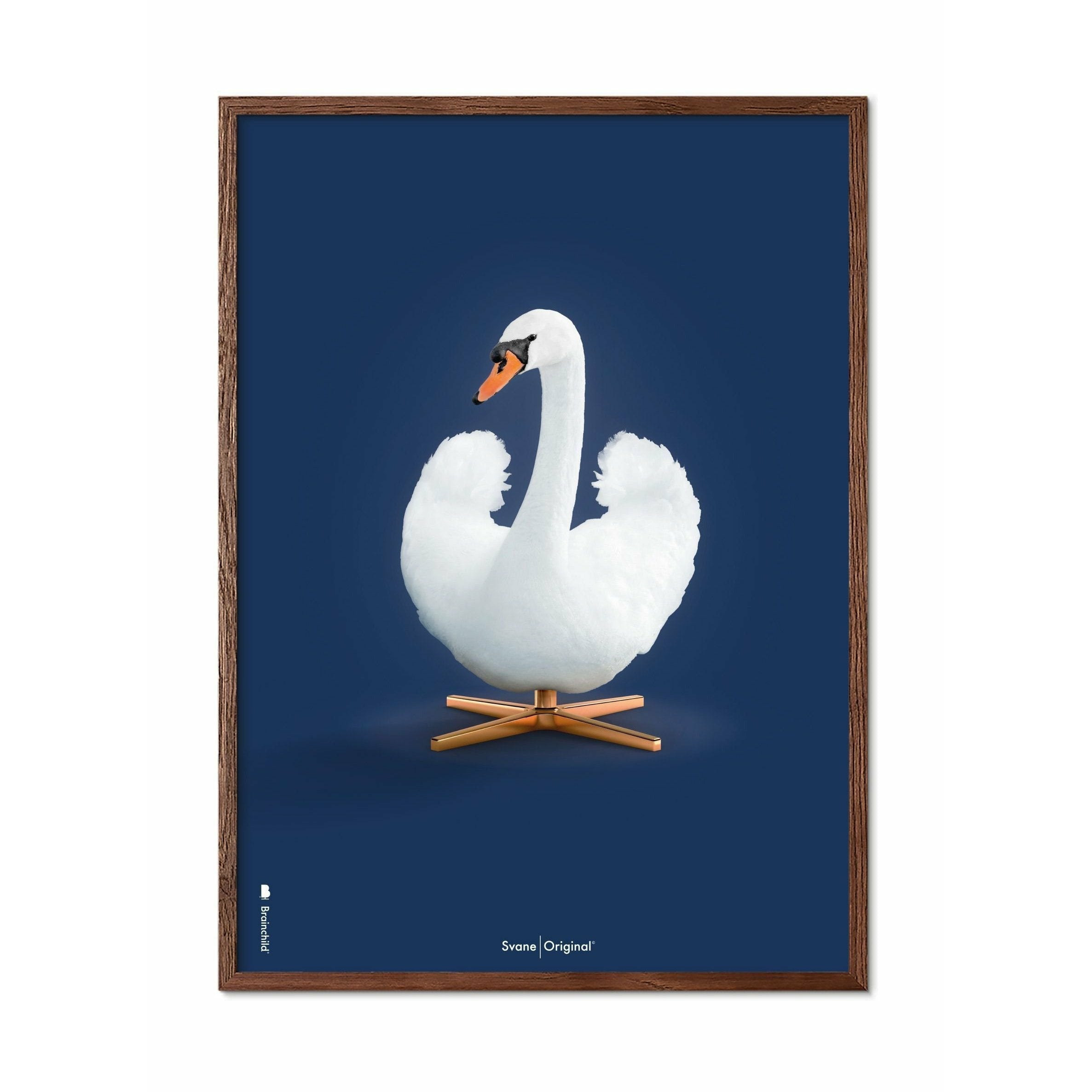 Brainchild Swan Classic Affisch, ram i mörkt trä 30x40 cm, mörkblå bakgrund