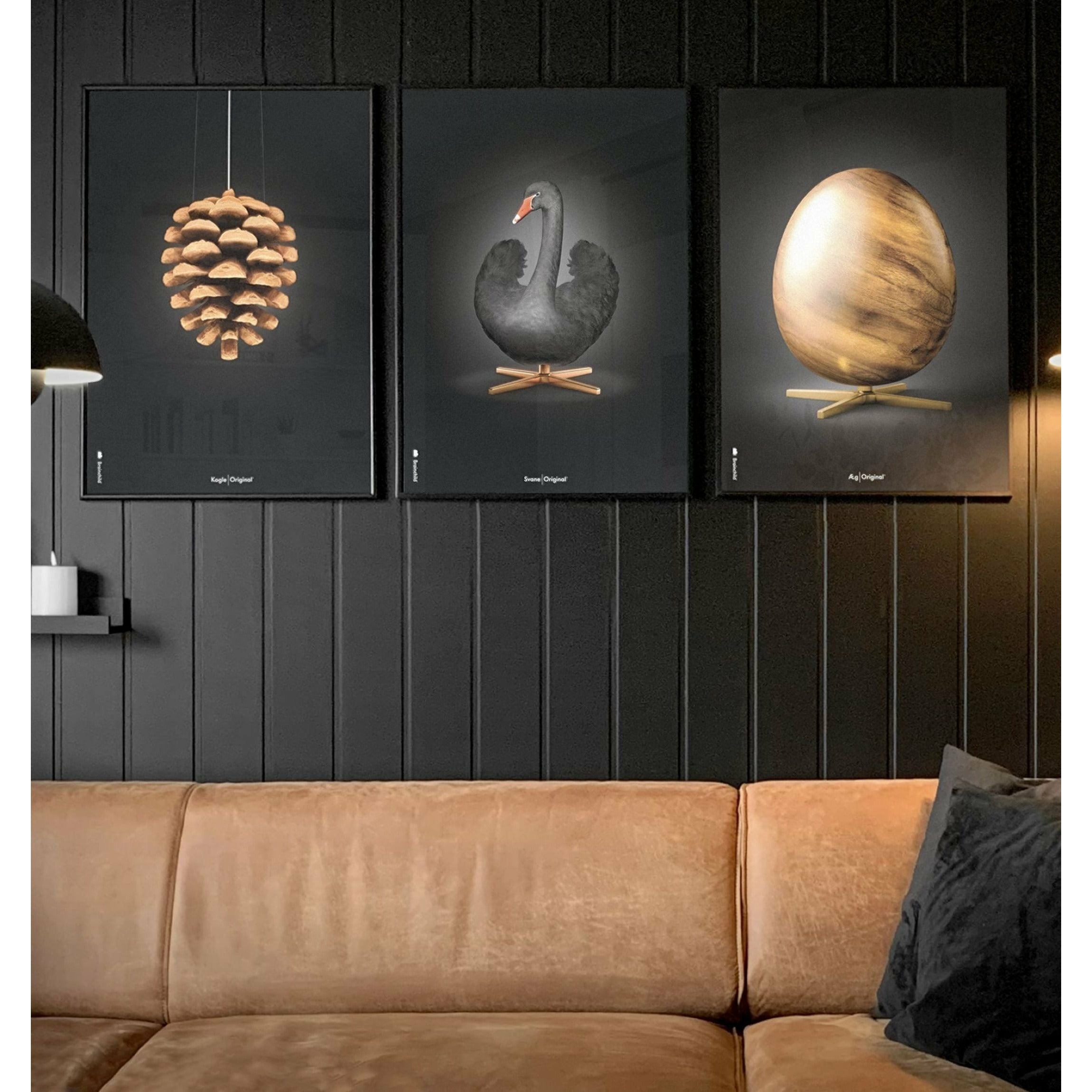 Brainchild Swan Classic Affisch, ram i mörkt trä 30x40 cm, svart/svart bakgrund