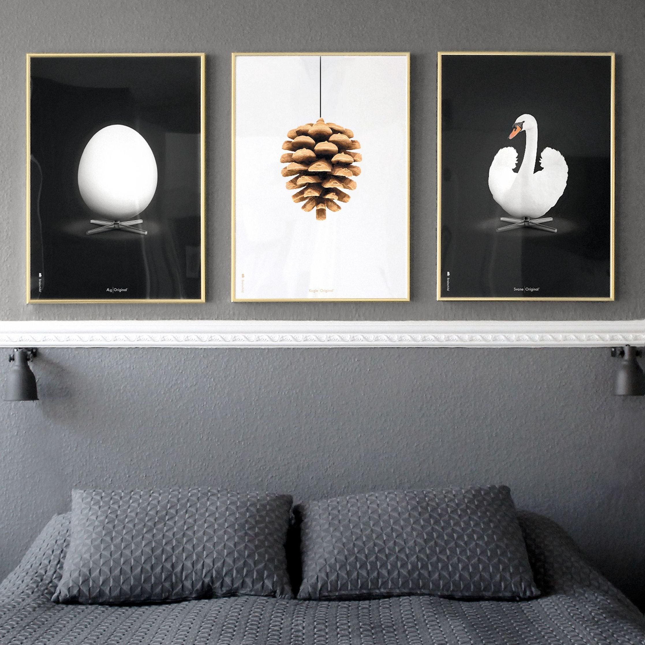 Brainchild Swan Classic Affisch, ram i mörkt trä 50x70 cm, vit/svart bakgrund