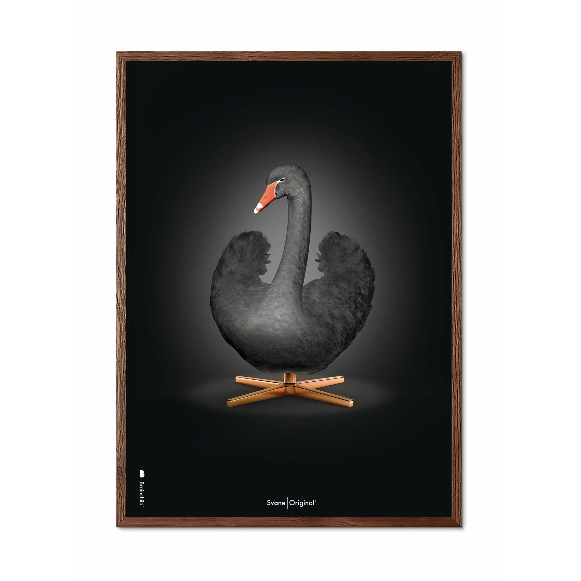 Brainchild Swan Classic Poster, ram i mörkt trä 70x100 cm, svart/svart bakgrund