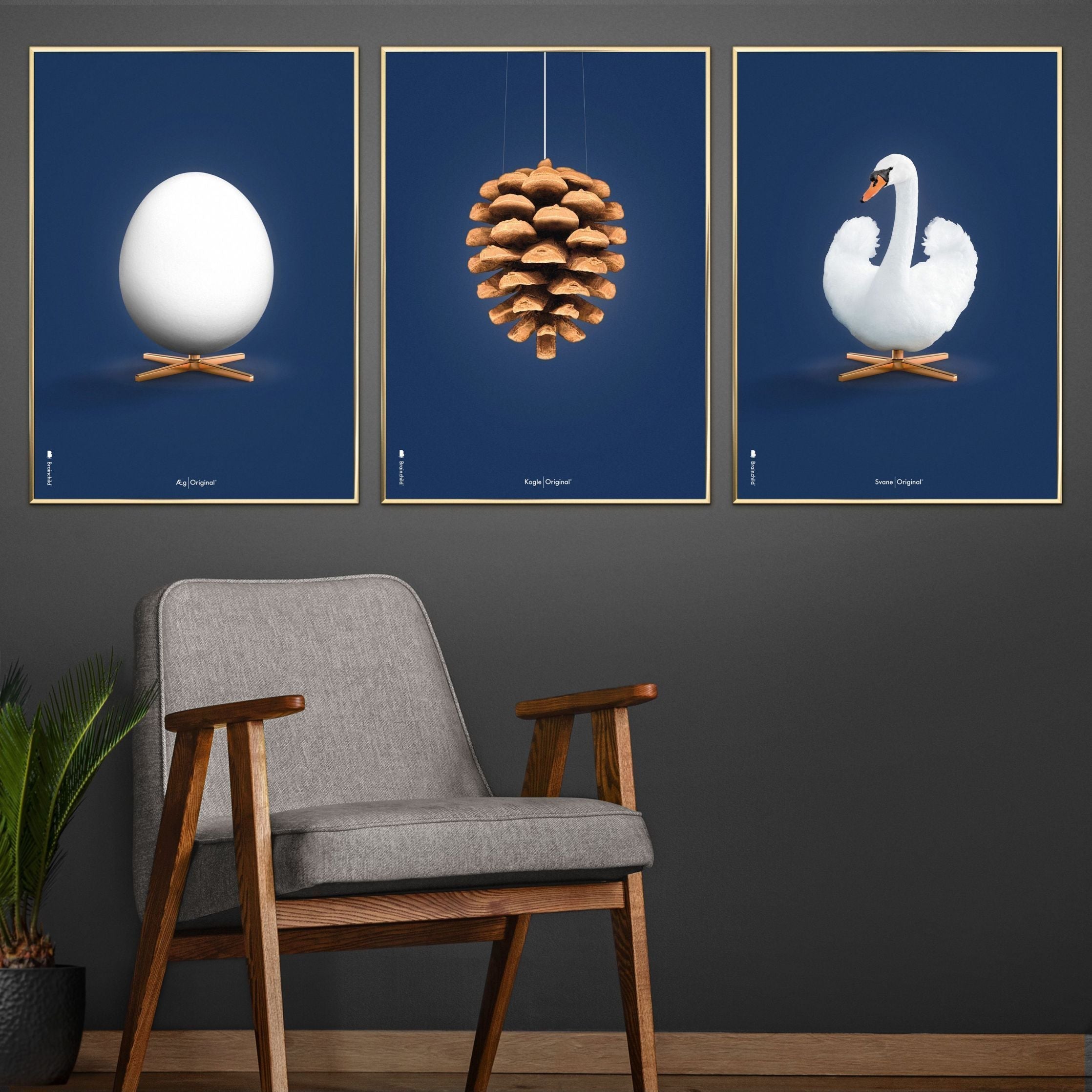 Brainchild Swan Classic Affisch, ram i lätt trä 50x70 cm, mörkblå bakgrund
