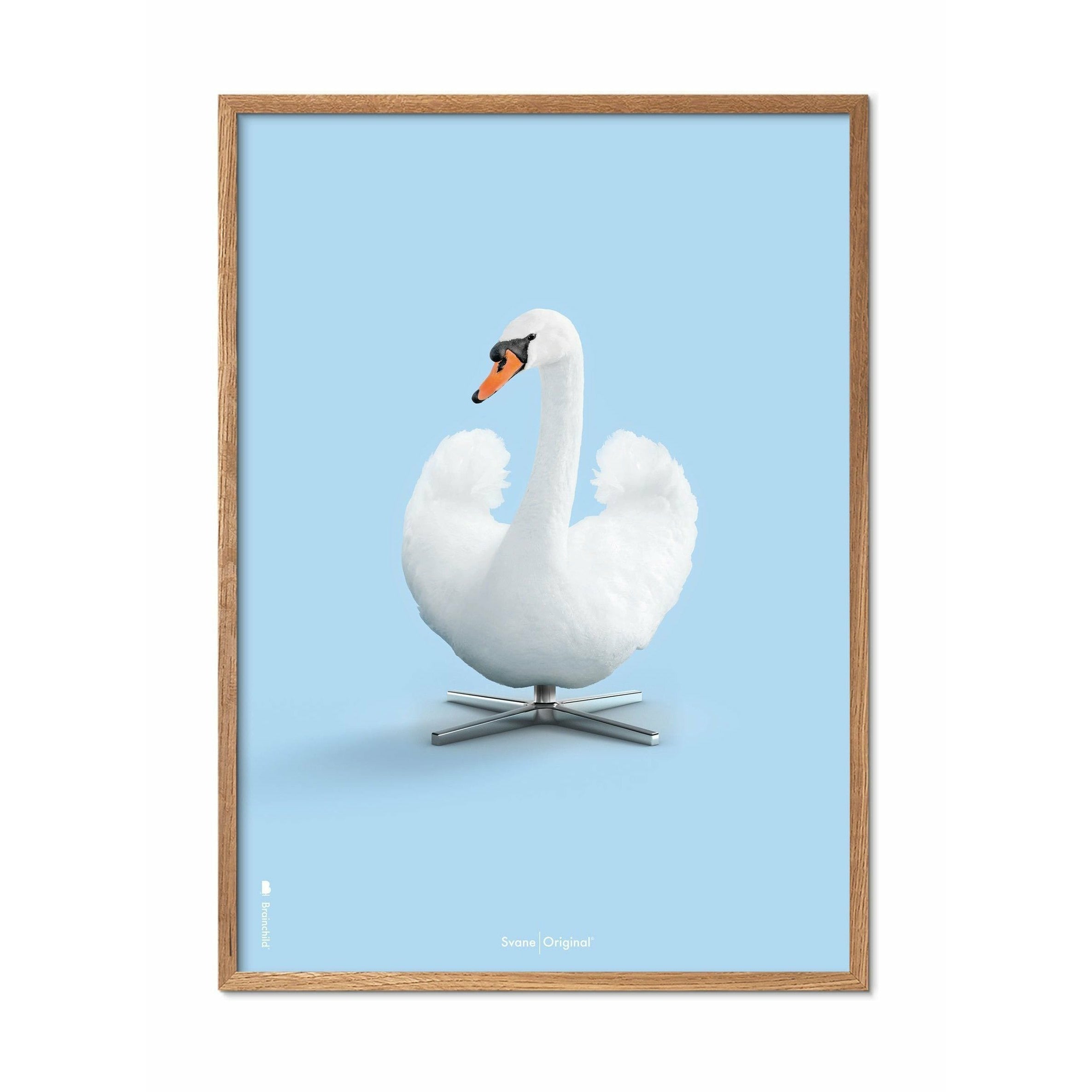 Brainchild Swan Classic Affisch, ram i ljus trä 50x70 cm, ljusblå bakgrund