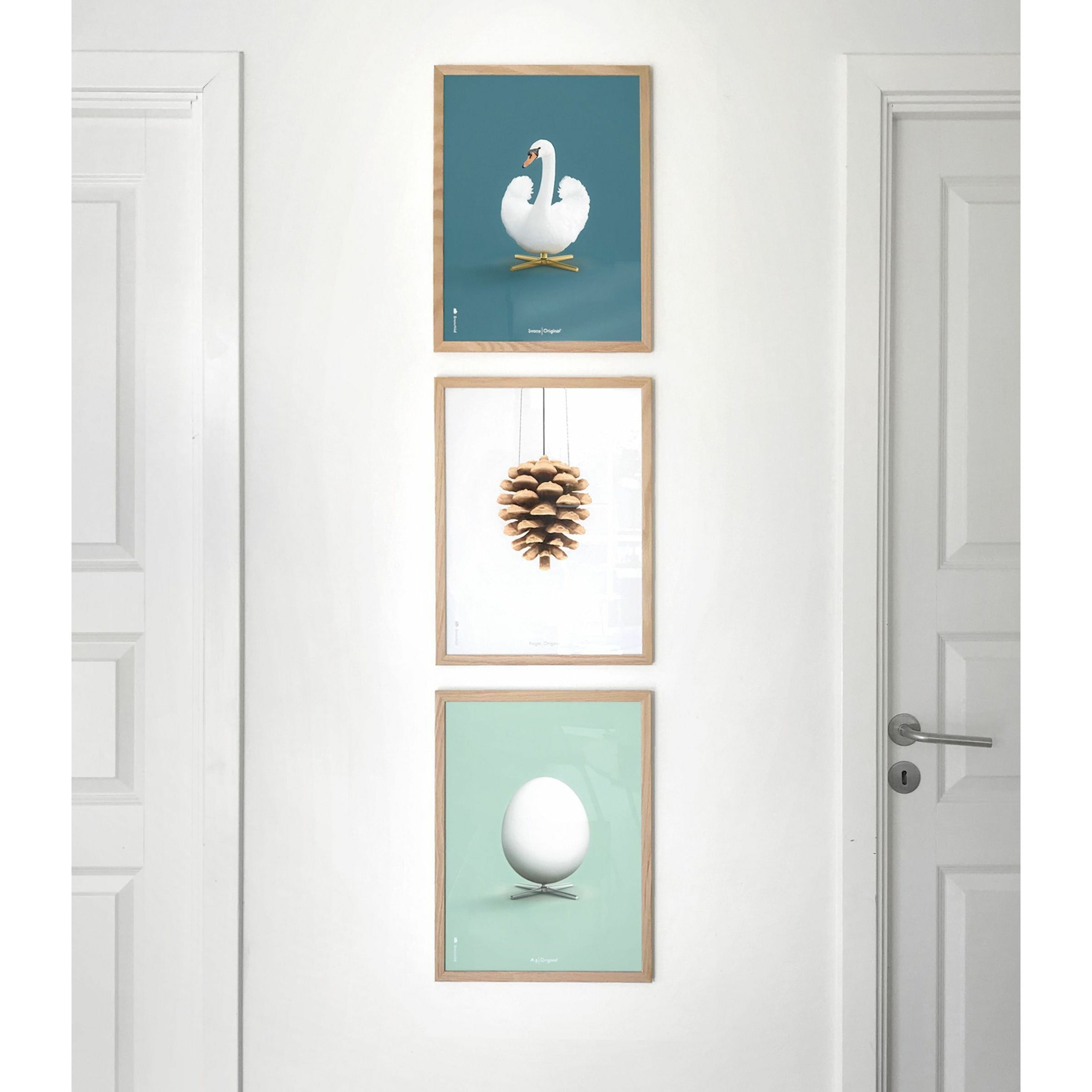 Brainchild Swan Classic Affisch, ram i lätt trä 50x70 cm, petroleumblå bakgrund