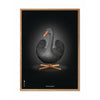 Brainchild Swan Classic Affisch, ram i lätt trä 50x70 cm, svart/svart bakgrund