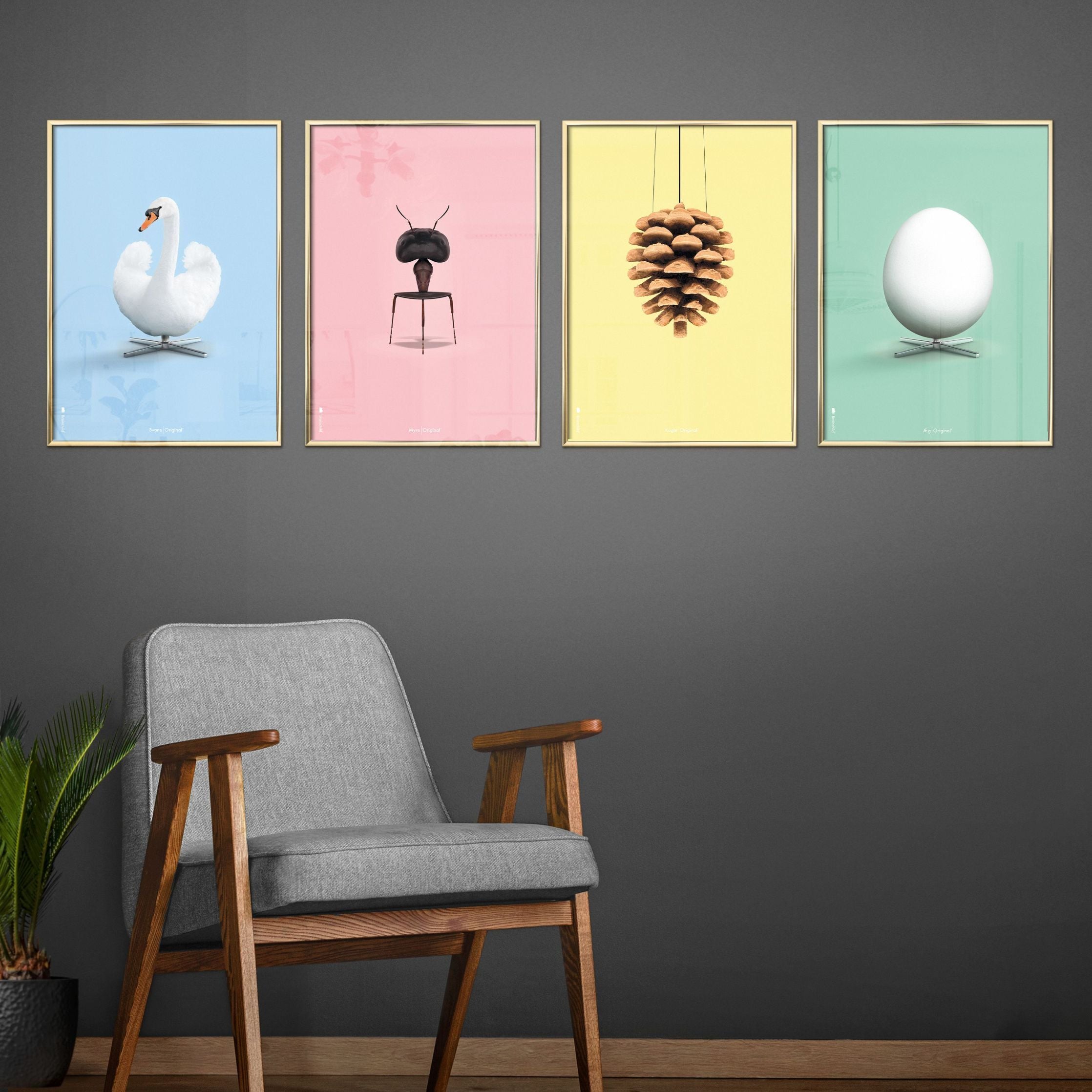 Brainchild Swan Classic -affisch, ram i ljus trä A5, ljusblå bakgrund