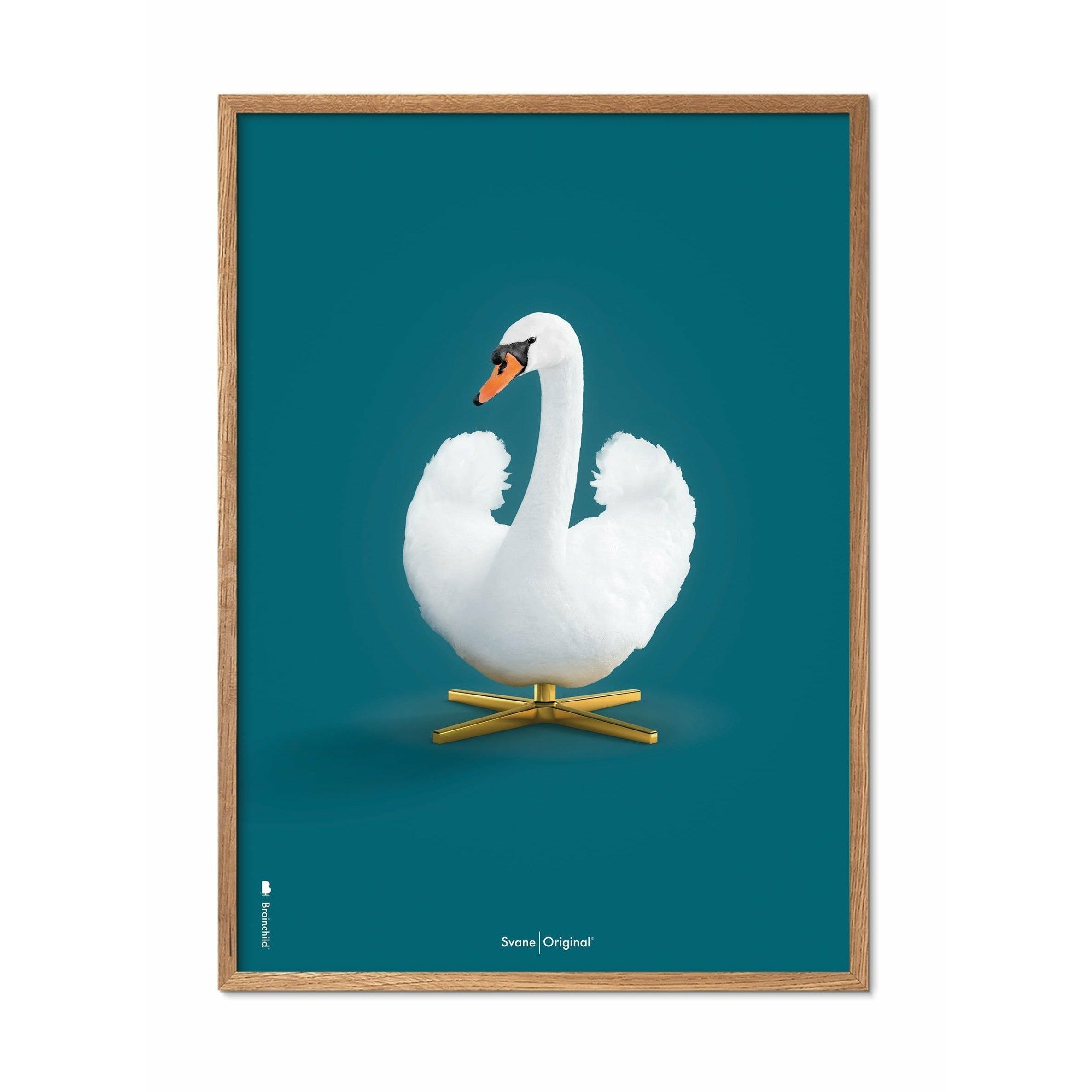 Brainchild Swan Classic Poster, ram i lätt trä A5, petroleumblå bakgrund