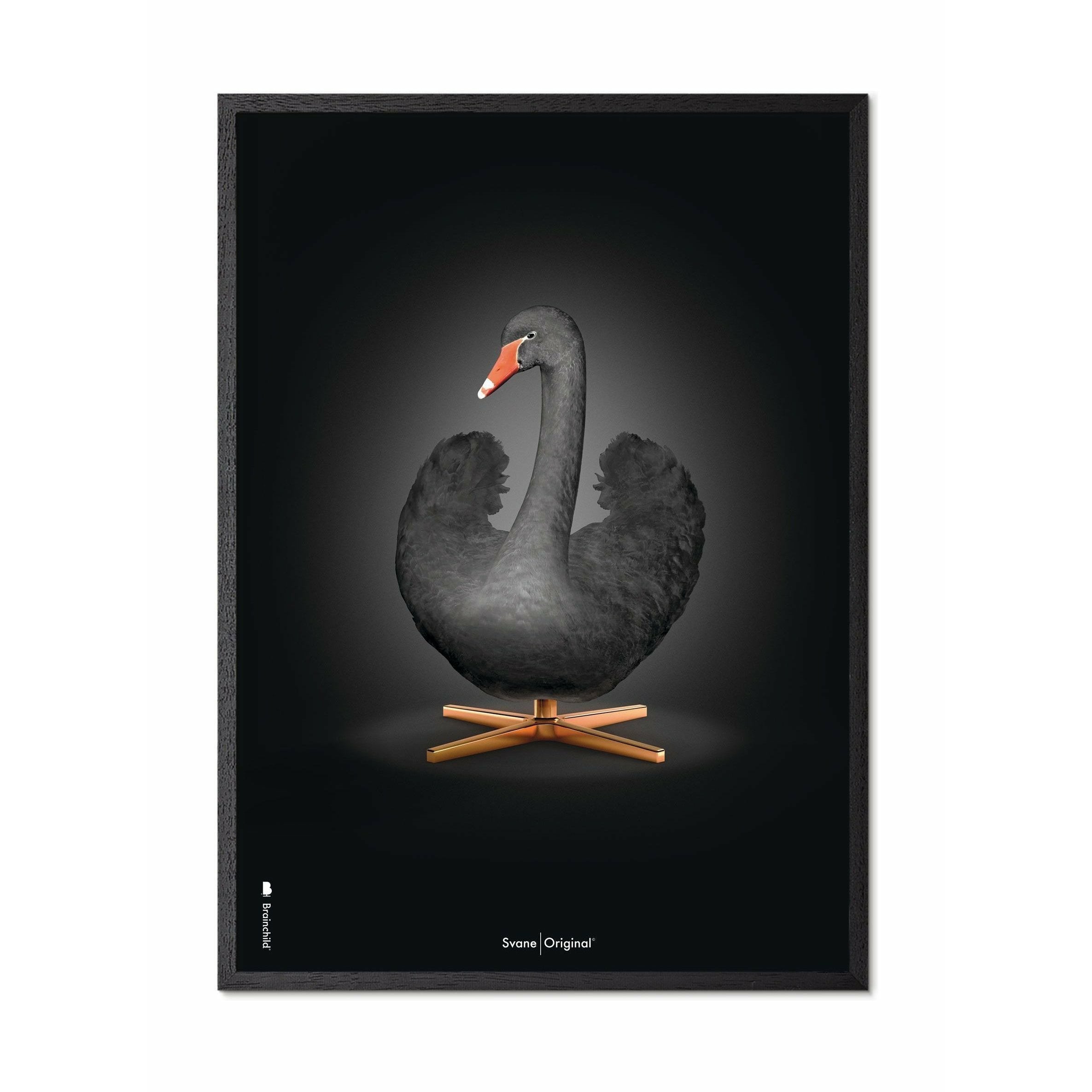Brainchild Swan Classic -affisch, ram i svart -målat trä 50x70 cm, svart/svart bakgrund