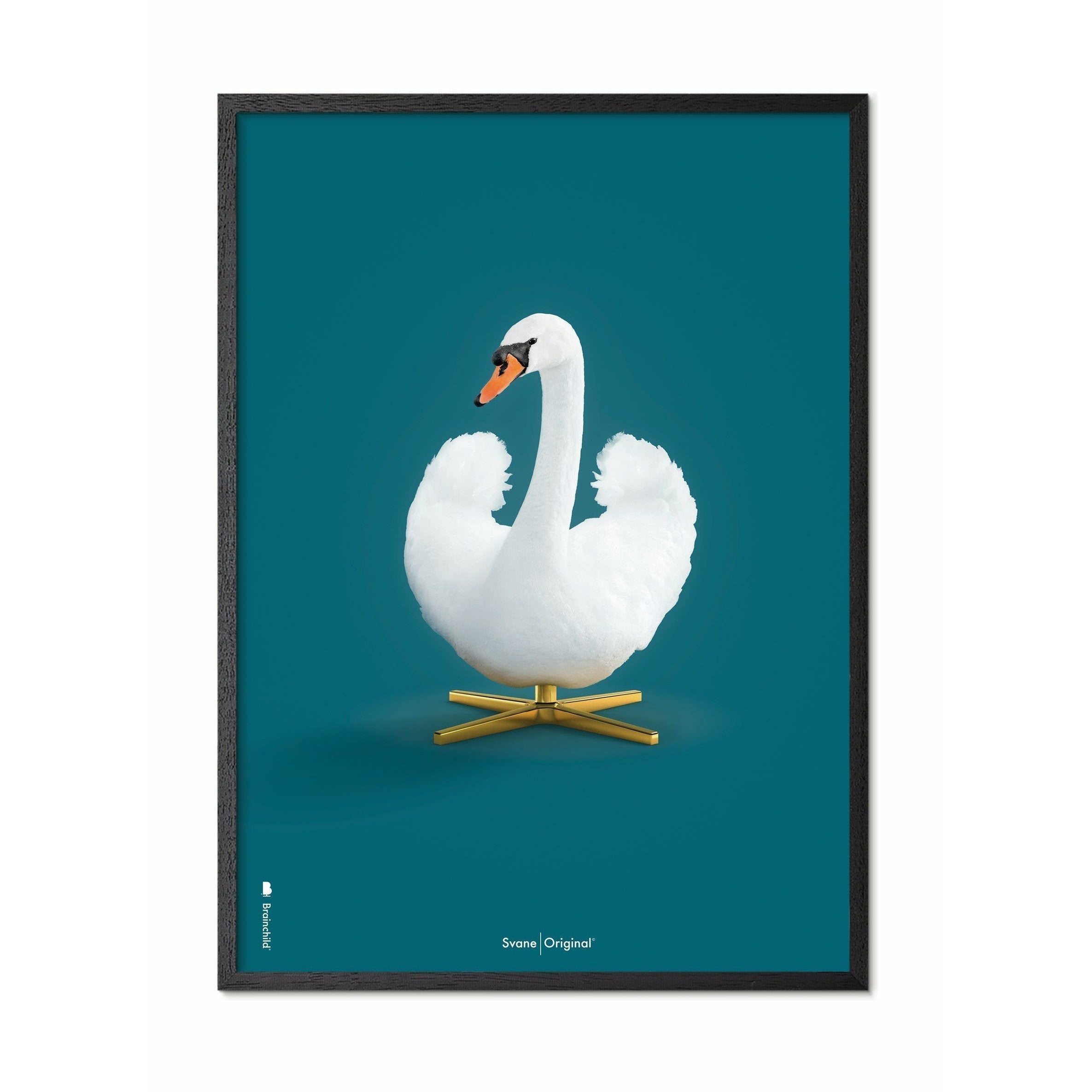 Brainchild Swan Classic Affisch, ram i svart målad trä A5, petroleumblå bakgrund