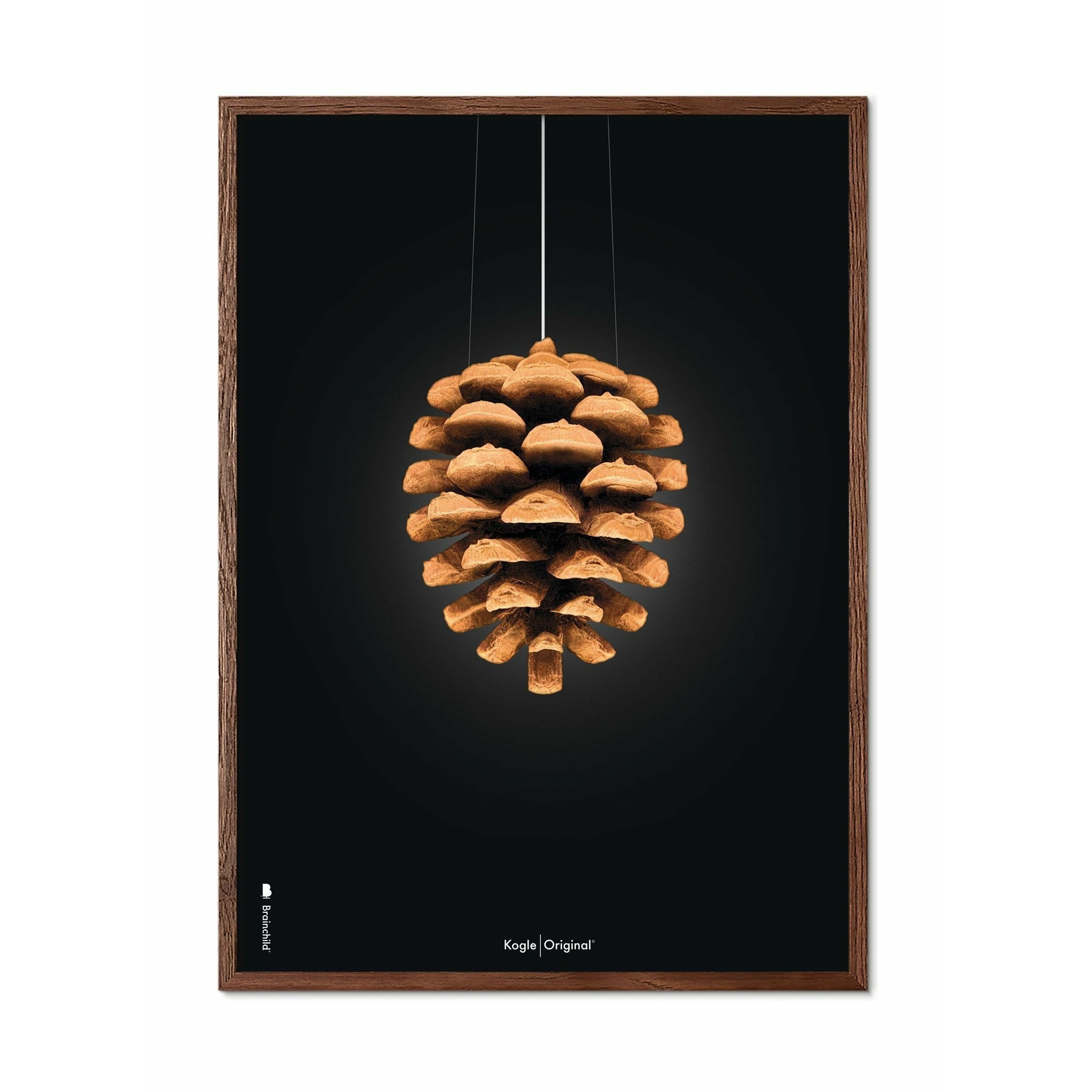 Brainchild Kogle Klassisk Plakat, Ramme I Mørkt Træ 50X70 Cm, Sort Baggrund