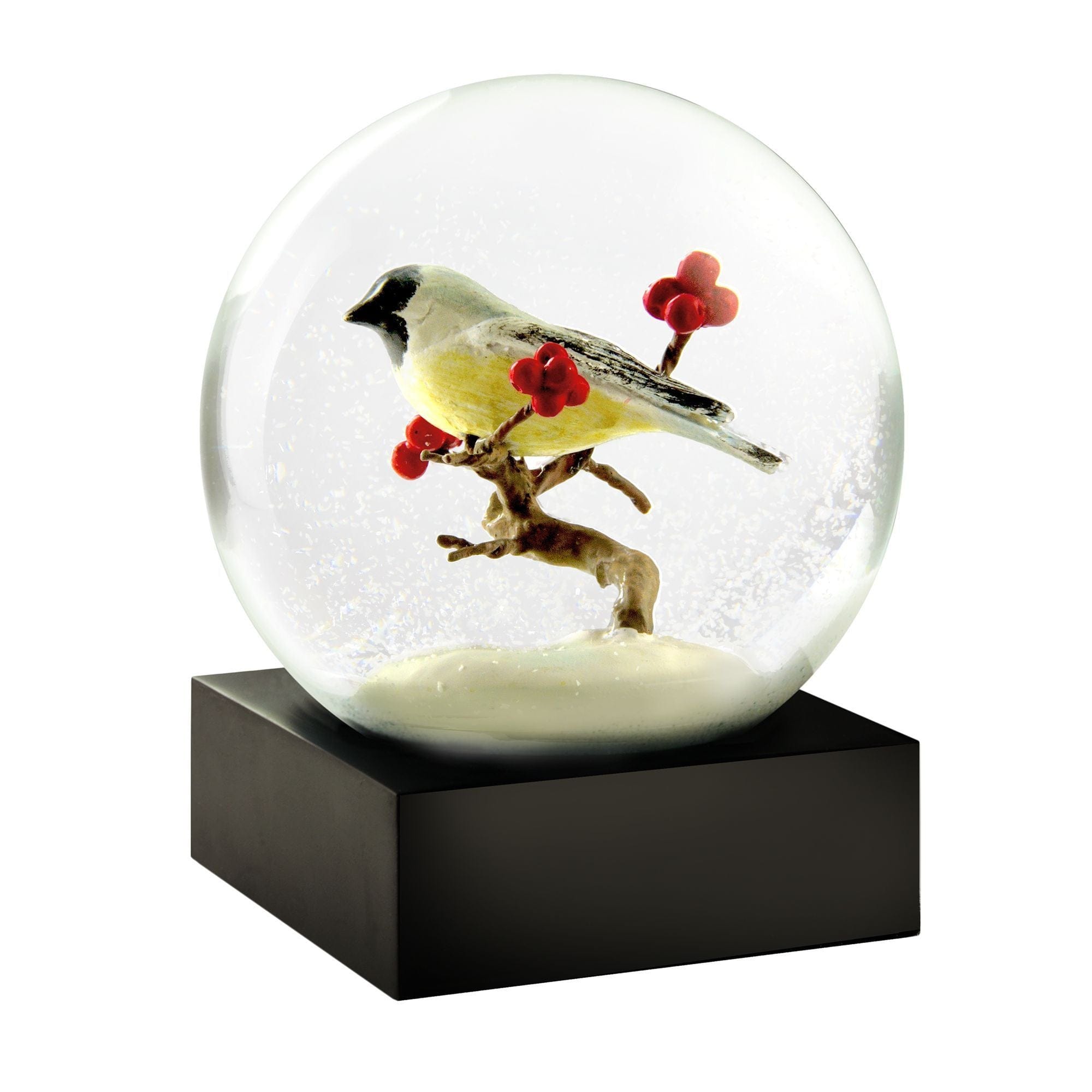 Cool Snow Globes Chickadee Snowball