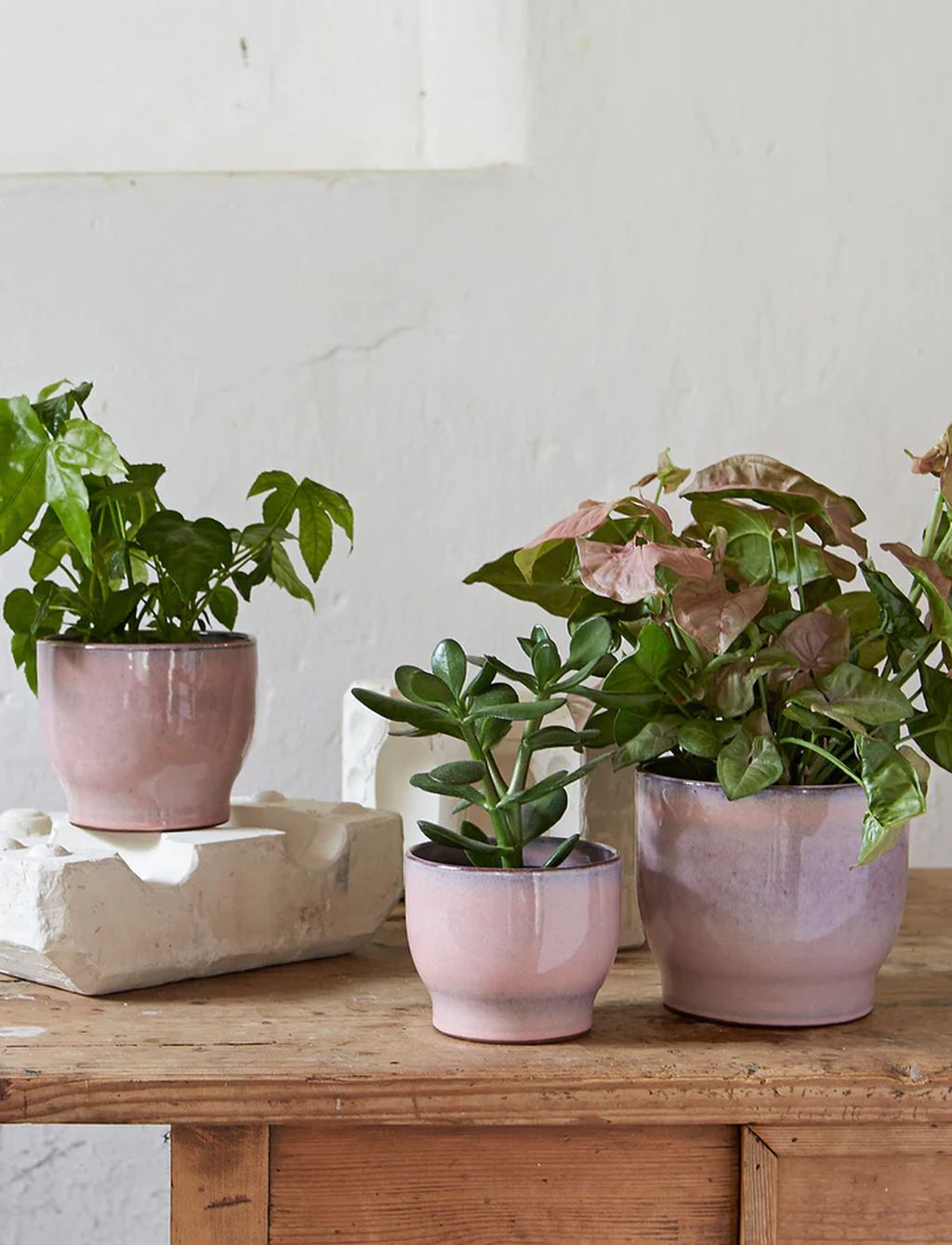 Knabstrup Keramik Örtpotten gömmer sig Ø 14,5 cm, rosa