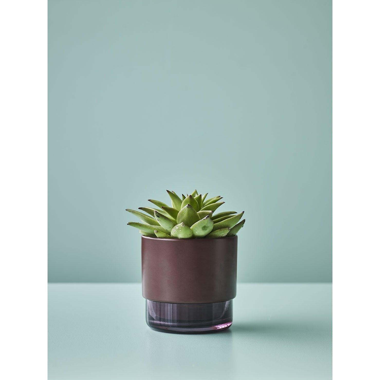 Lucie Kaas Gro Plant Holder Green, 12,5 cm