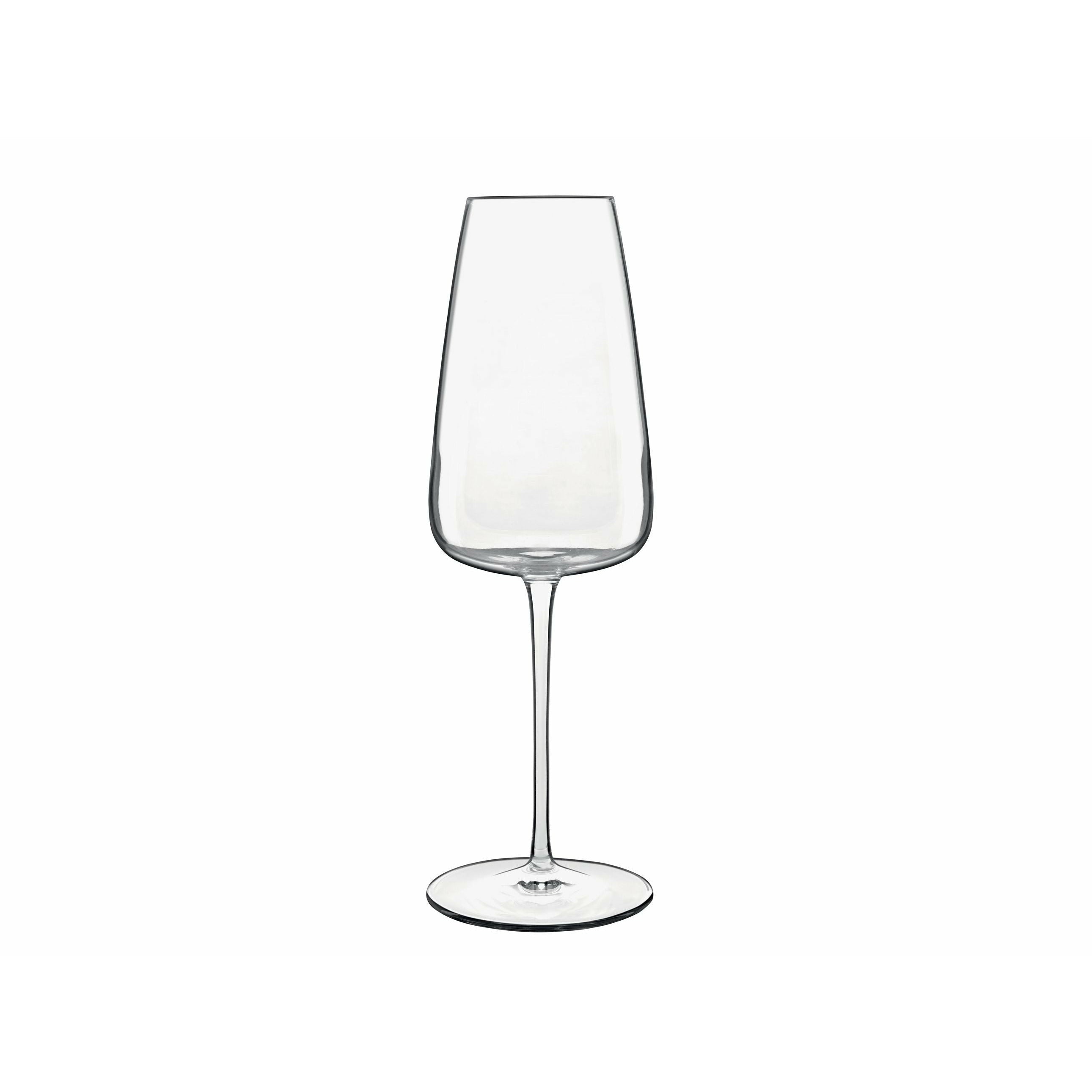 Luigi Bormioli Talismano Champagne Glass, 2 st.