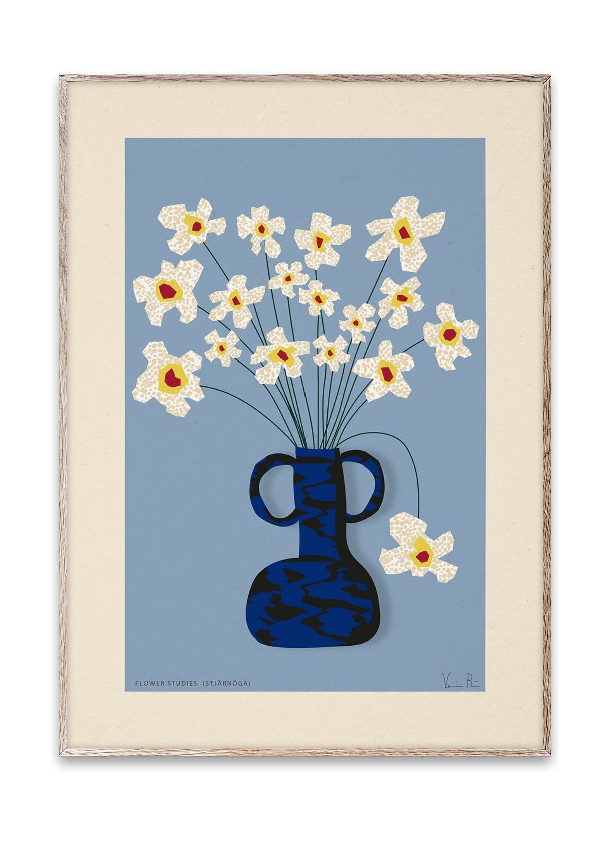 Paper Collective Flower Studies 04 (Stjärnöga) affisch, 30x40 cm