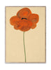 Paper Collective Orange Vallmo -affisch, 50x70 cm