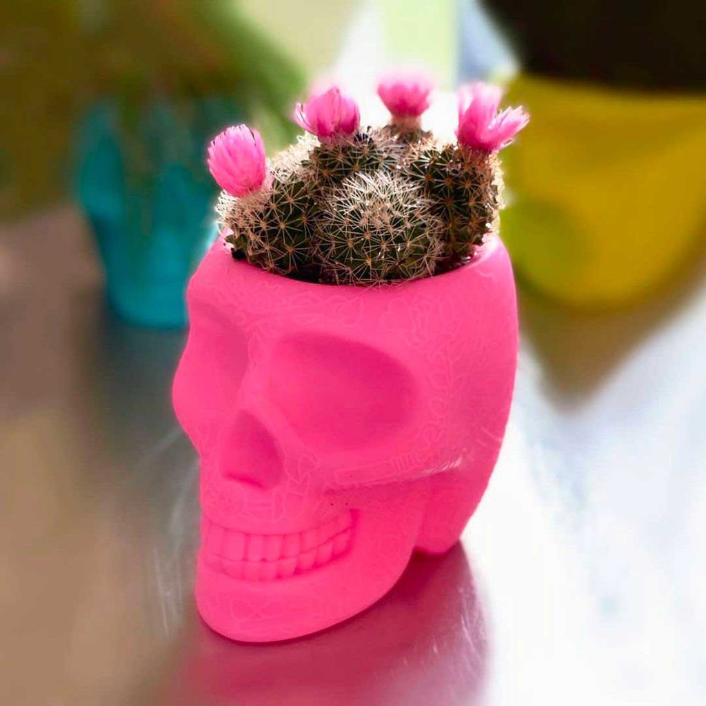 Qeeboo Mexico Plante-/Kuglepenholder XS, Bright Pink