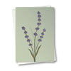 Vissevasse Lavendel Anledningskort, Grøn, 10.5X15 Cm