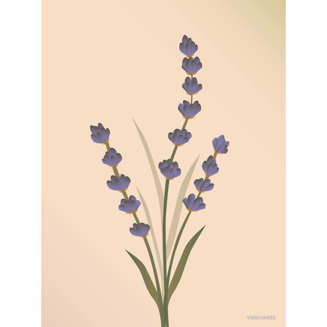 Vissevasse Lavendeldiagramkort, naken, 15x21 cm