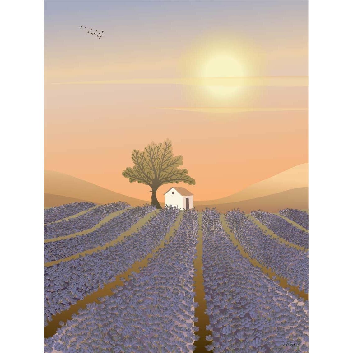 Vissevasse Lavendelfält affisch, 30x40 cm