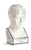 Authentic Models Phrenology Hoved Porcelænsfigur