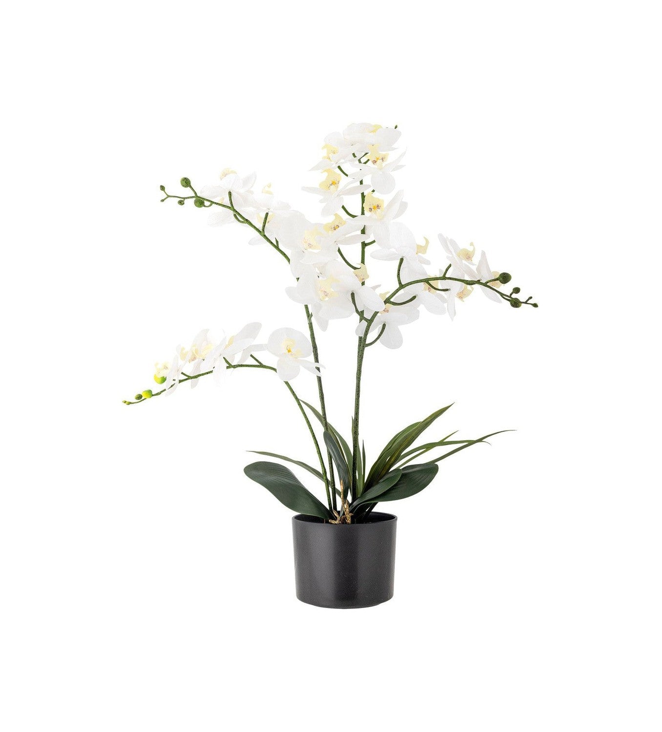 Bloomingville Orchid Artificial Plant, Green, Plastic