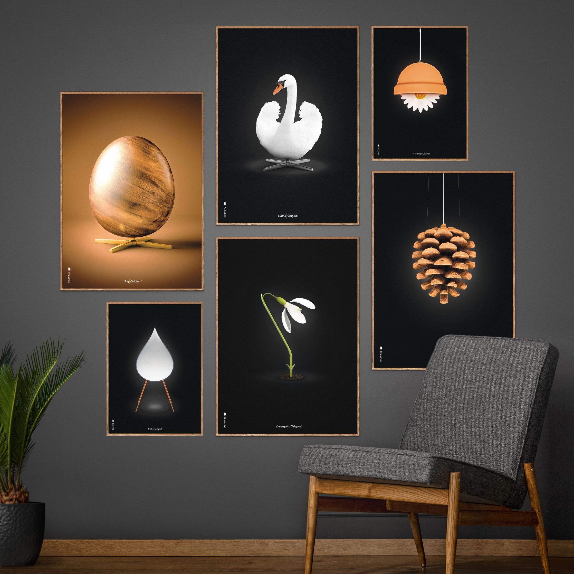 [product_category]-Brainchild Flowerpot Classic Poster, Frame Made Of Light Wood 50x70 Cm, Black Background-Brainchild-81003-A-BRA-5