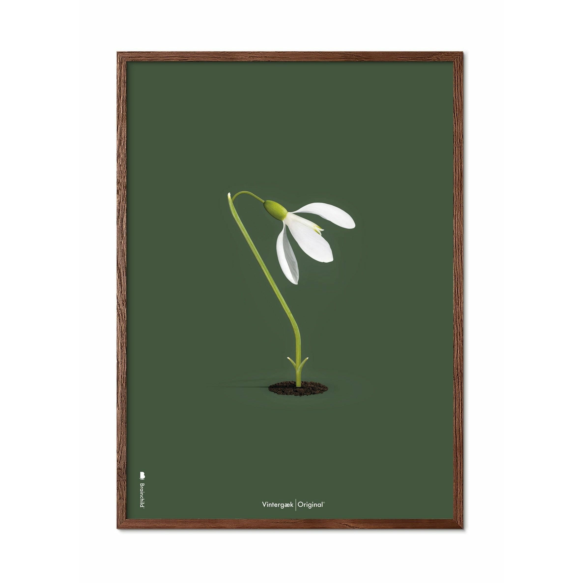 [product_category]-Brainchild Snowdrop Classic Poster, Dark Wood Frame A5, Green Background-Brainchild-61001-B-BRA-1