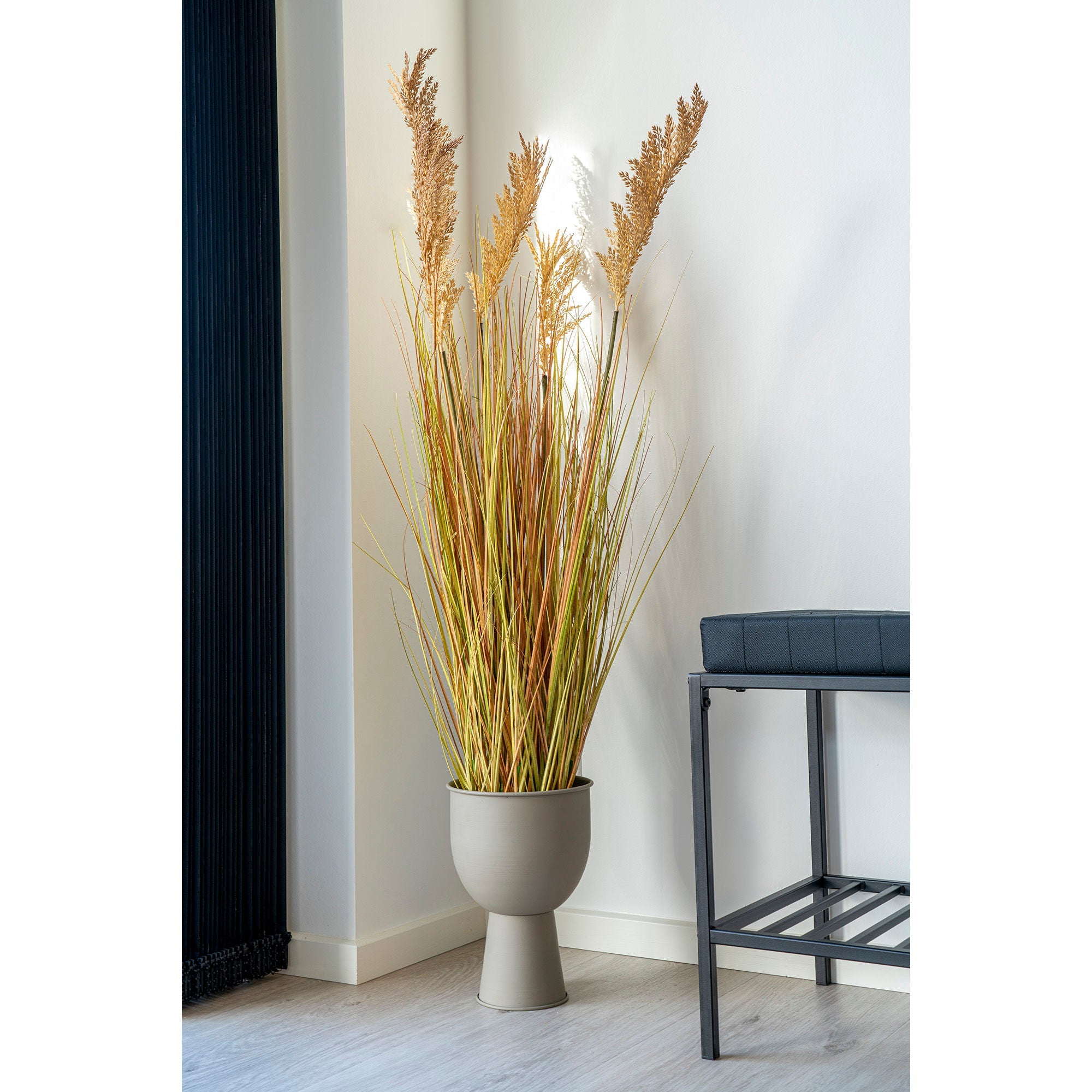 House Nordic Sorghum Grass