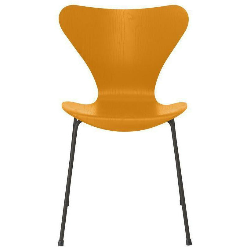 [product_category]-Fritz Hansen Series 7 Chair Dyed Ash Burnt Yellow Bowl, Warm Graphite Base-Fritz Hansen-3107-FARVET-BURNT-WARM-FRI-1