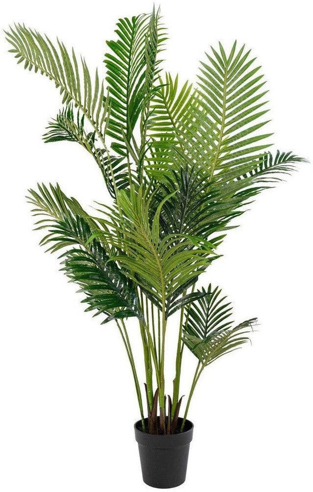 [product_category]-House Nordic Areca Palm-House Nordic-5713917004492-9501020-HOU-1