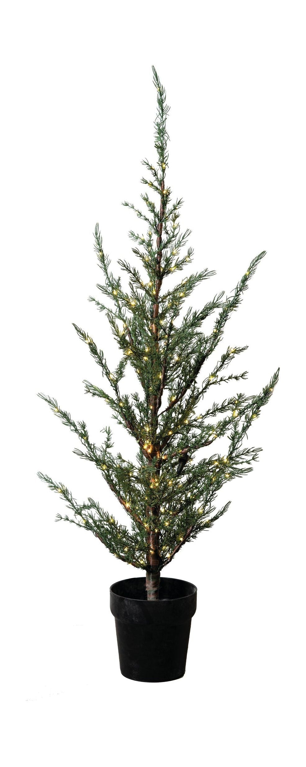 [product_category]-Sirius Milas Ceder Tree, H100 Cm-Sirius-5707310517208-51720-SIR-1