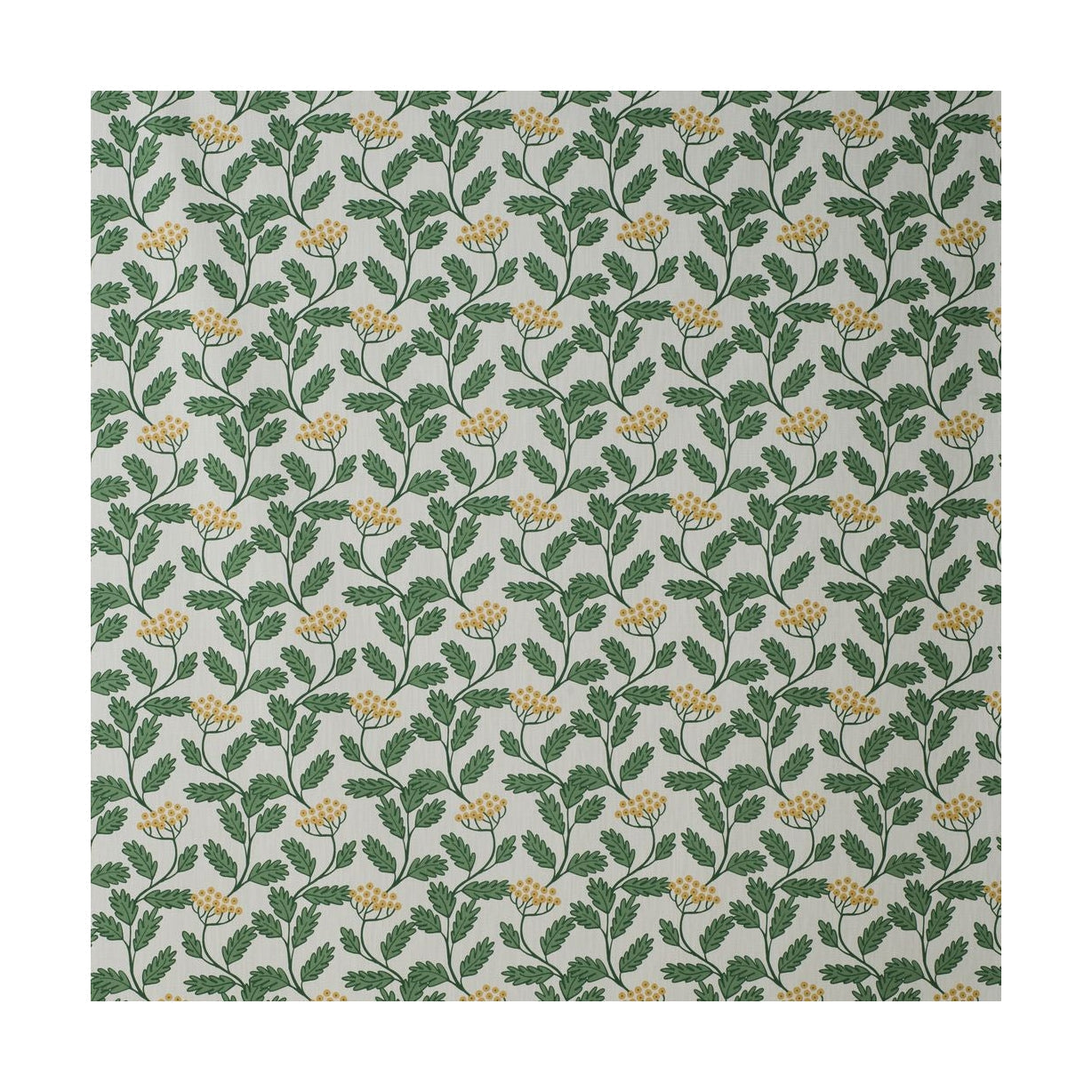 [product_category]-Spira Renfana Fabric Width 150 Cm (Price Per Meter), Green-Spira of Sweden-7333001017283-6259-SPI-2