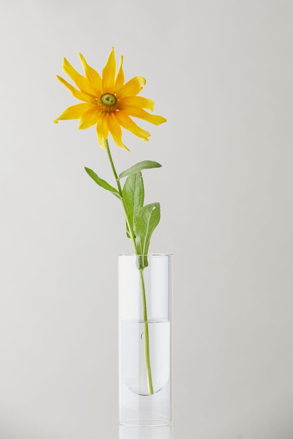 Studio About blomsterrørvase 20 cm, gennemsigtig