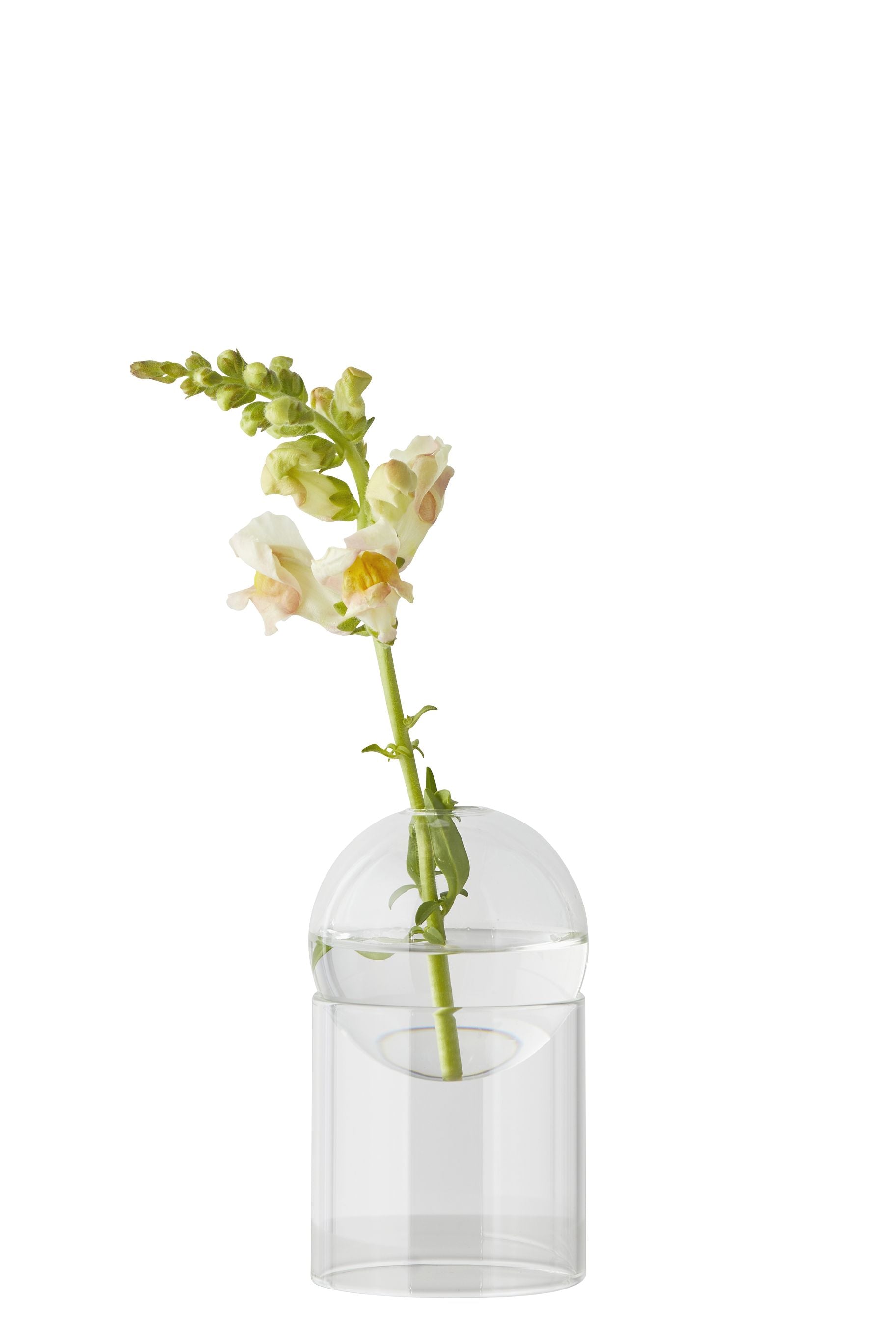 Studio About stående blomsterboblevase 13 cm, gennemsigtig
