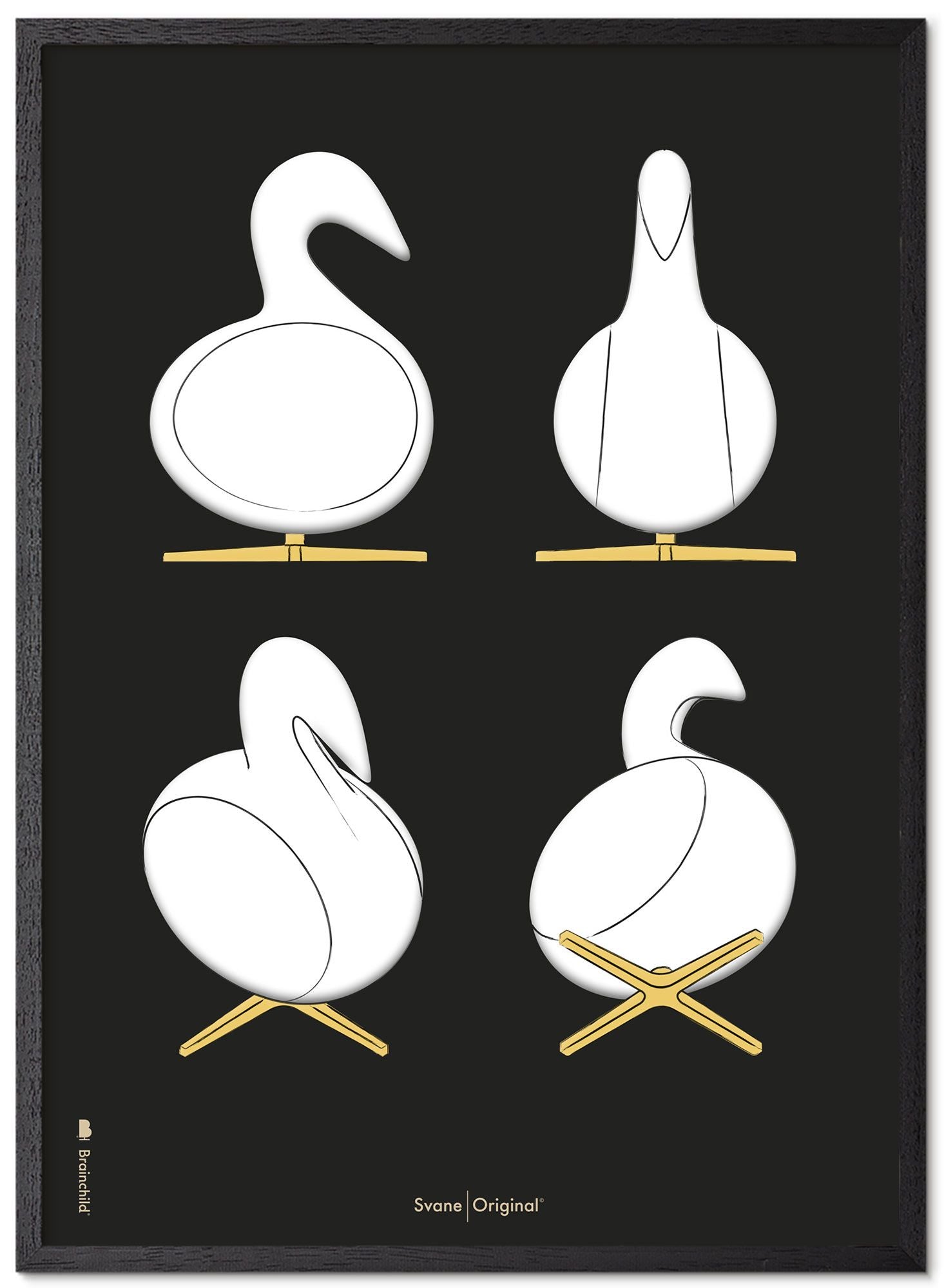 Brainchild Swan Design Sketches Poster Frame Made Of Black Lacquered Wood 50x70 Cm, Black Background